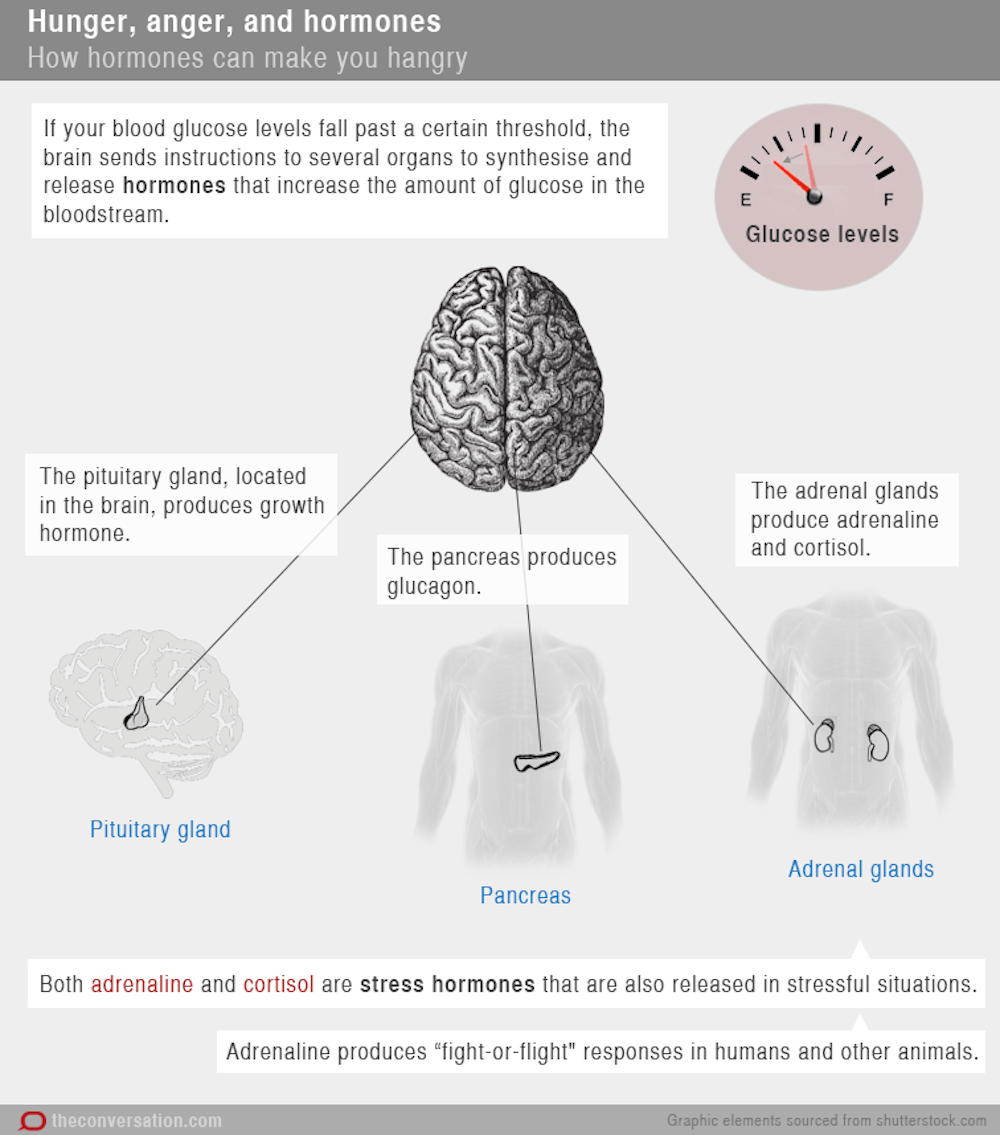 Sains Jelaskan Kenapa Beberapa Orang Menjadi Pemarah Ketika Lapar
