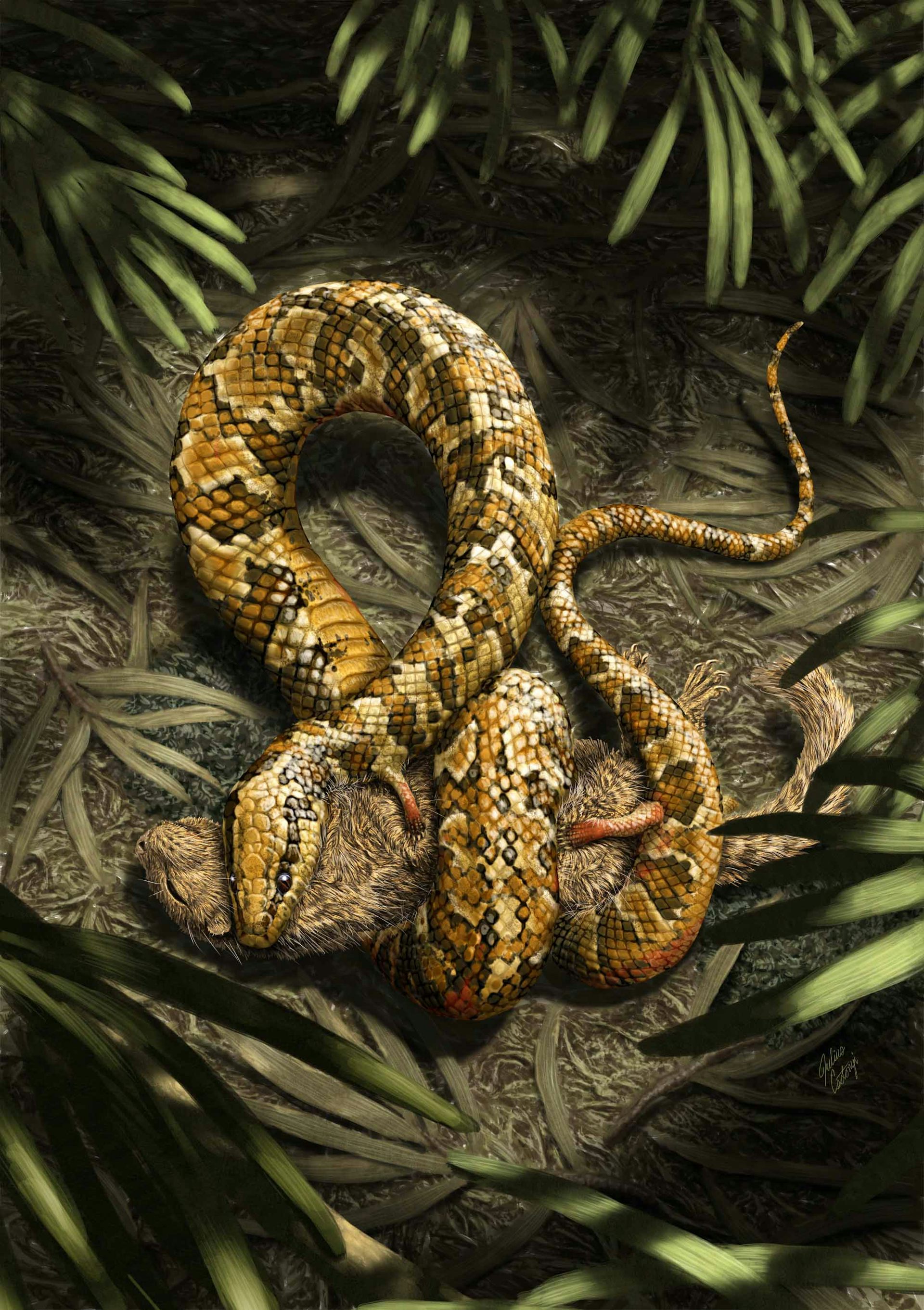 Fossil From Brazil Sheds Light On How Snakes Lost Their Legs