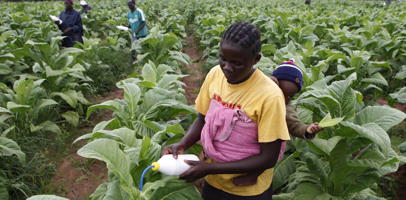 Why we need to tread carefully in drawing up human rights rules for business