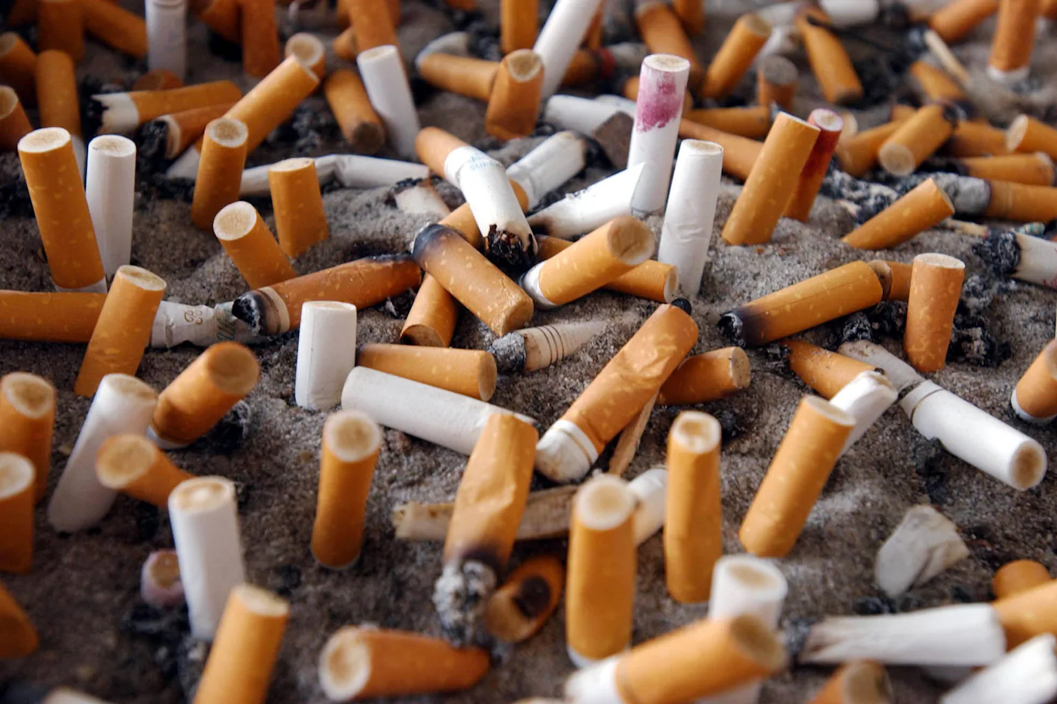 no tobacco campaign Anti-smoking Campaign Flyers Template no tobacco campaign Anti-smoking Campaign Flyers Template