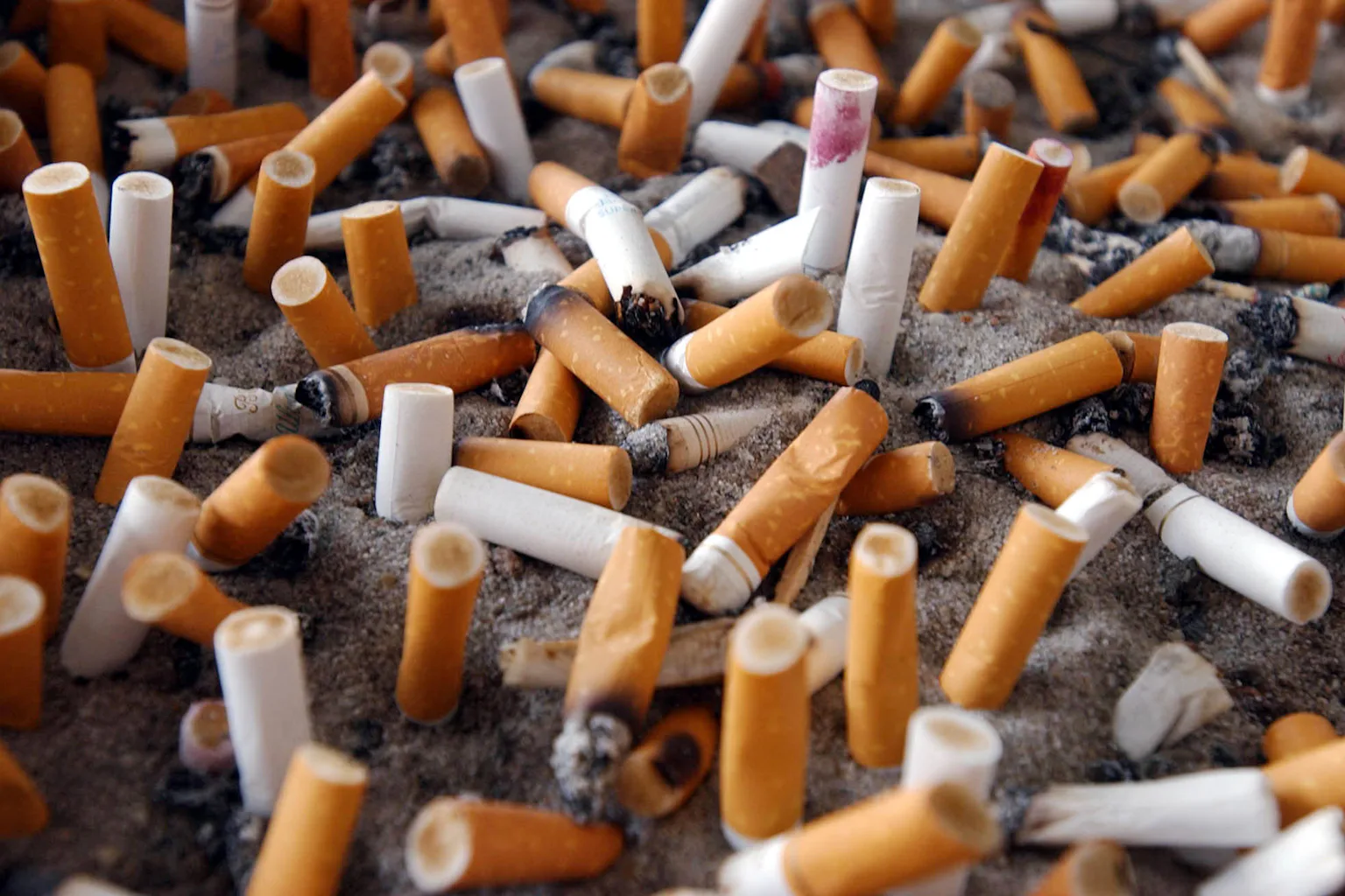 what is a tobacco lobbyist Industry Expands Lobbying Efforts in the U.S. in 2024 ASH > Action on Smoking & Health How big tobacco gifted campaigns