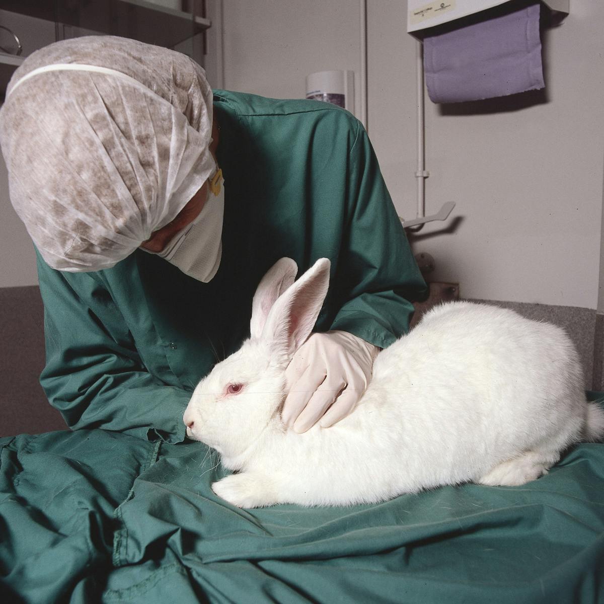 Animal research: varying standards are leading to bad science