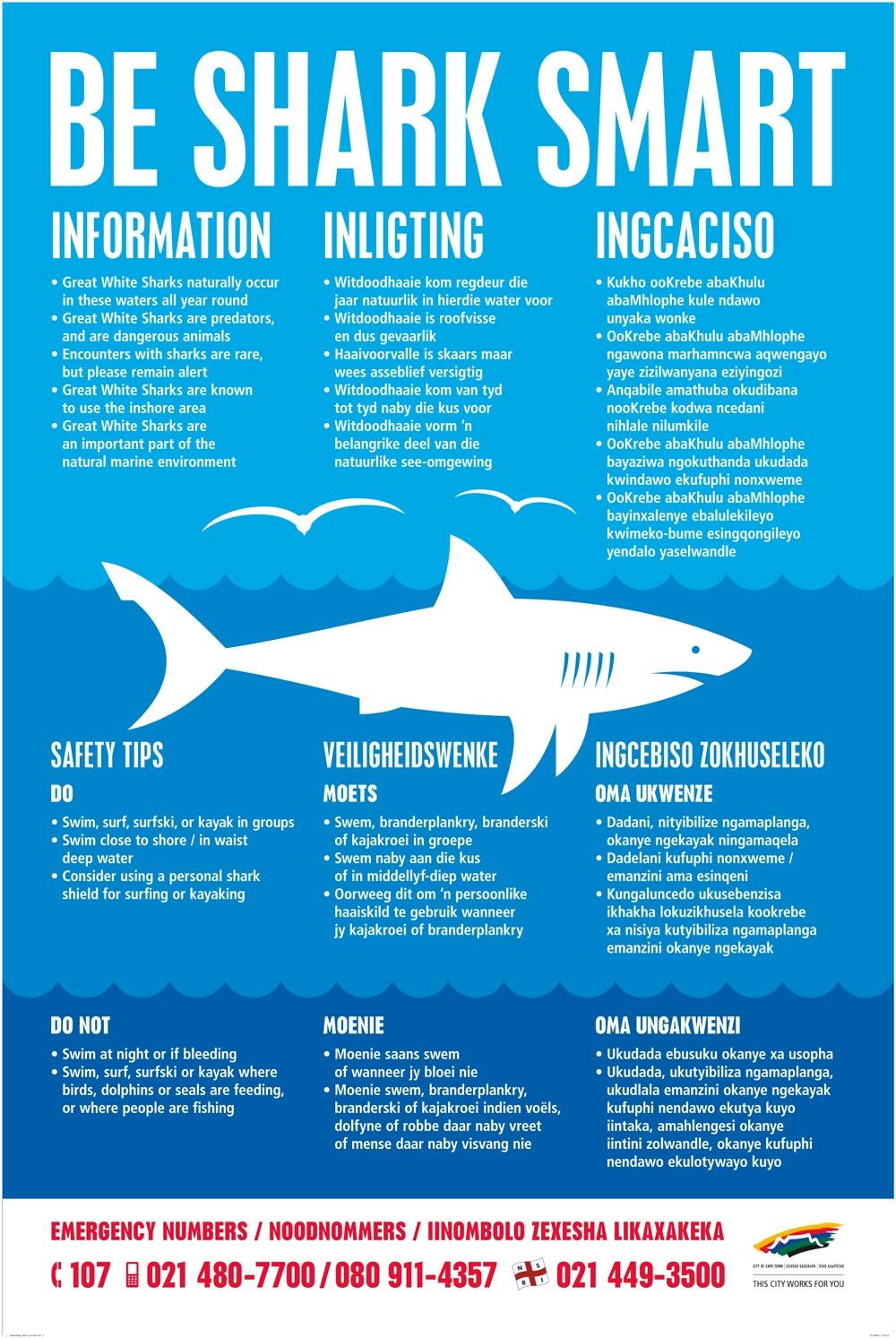 Shark safety tips sorting out fact from fiction