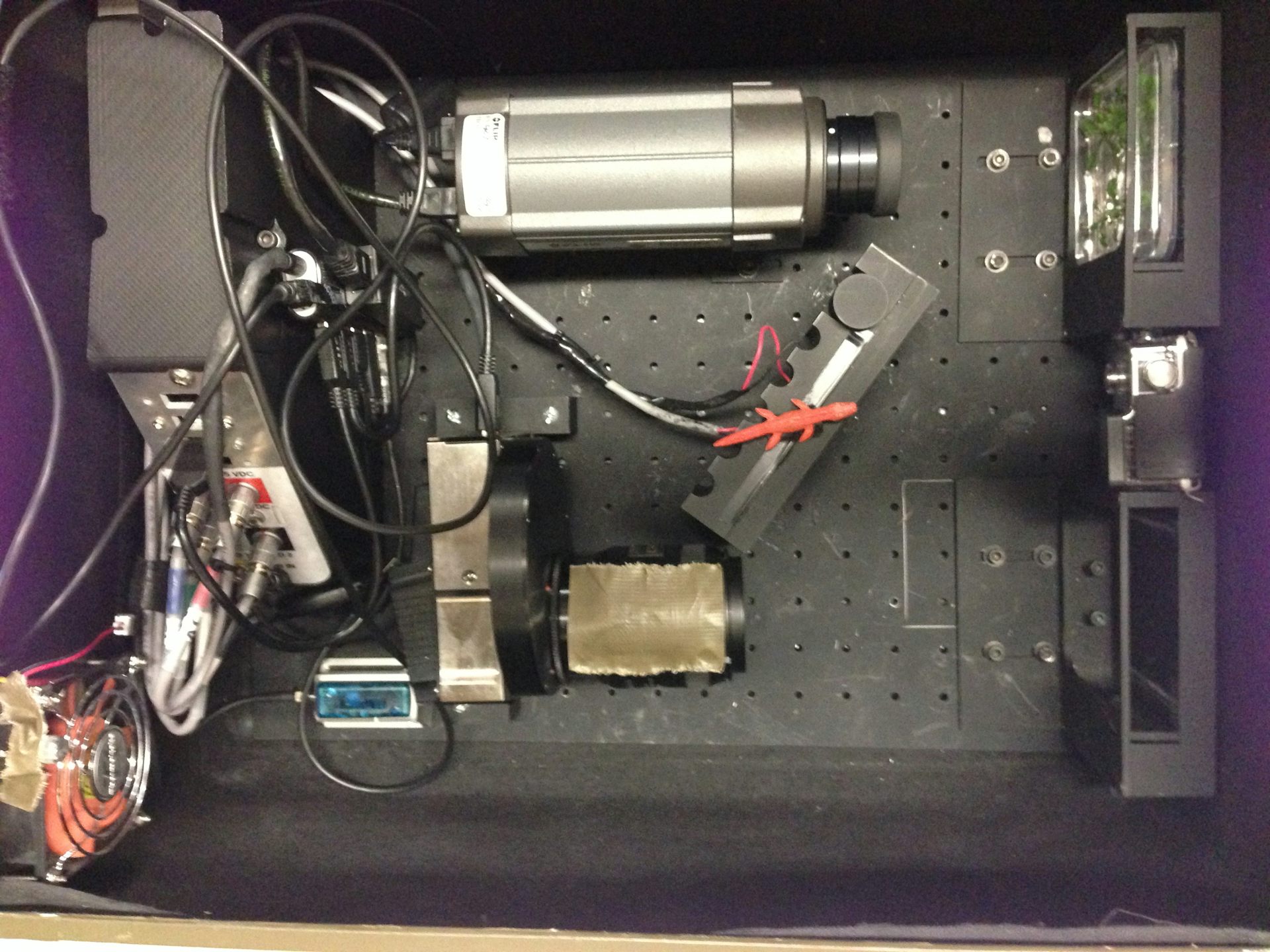 Taking plants off how do they grow in zero gravity?