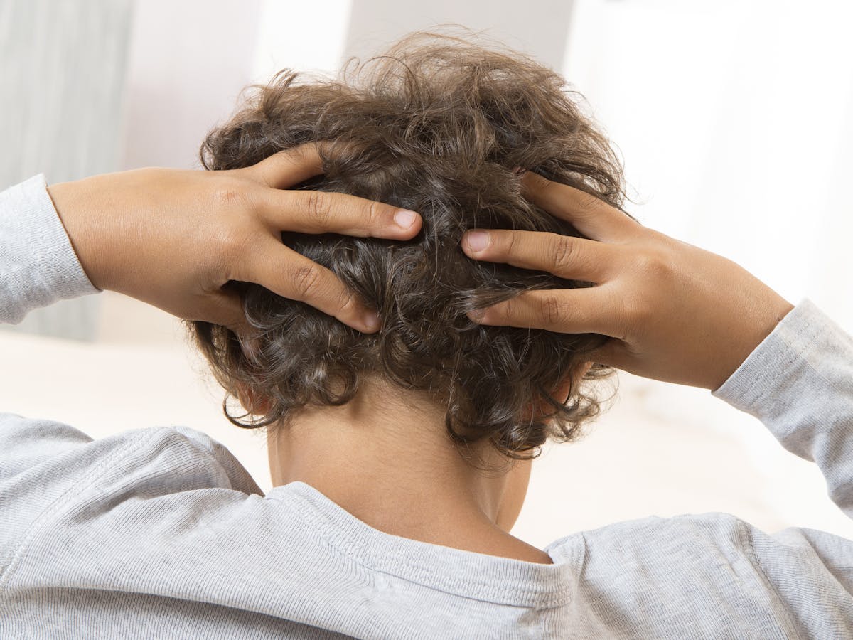 Health Check: how do you catch – and get rid of – head lice?