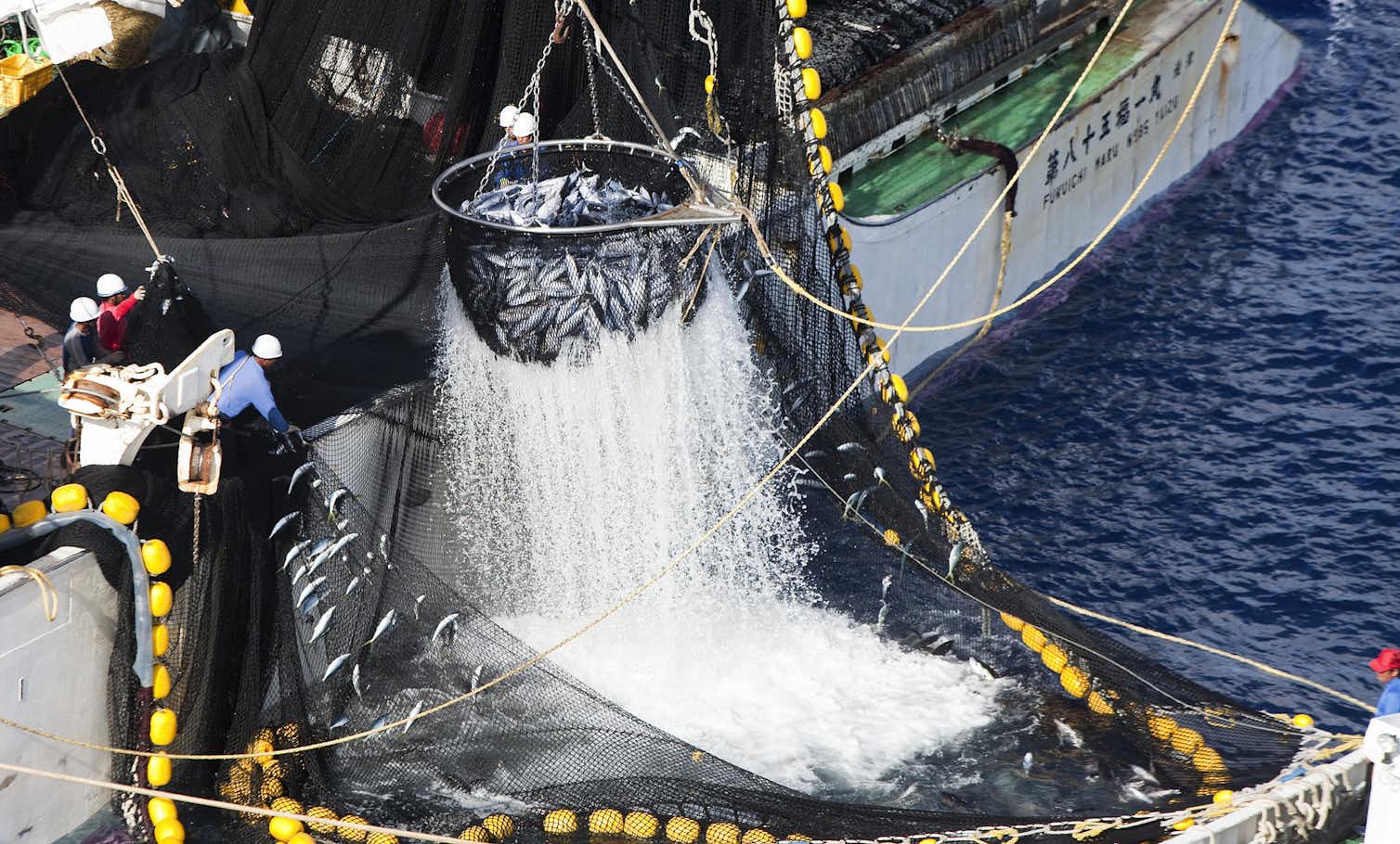 What a tangled net: unravelling the international complications of tuna ...
