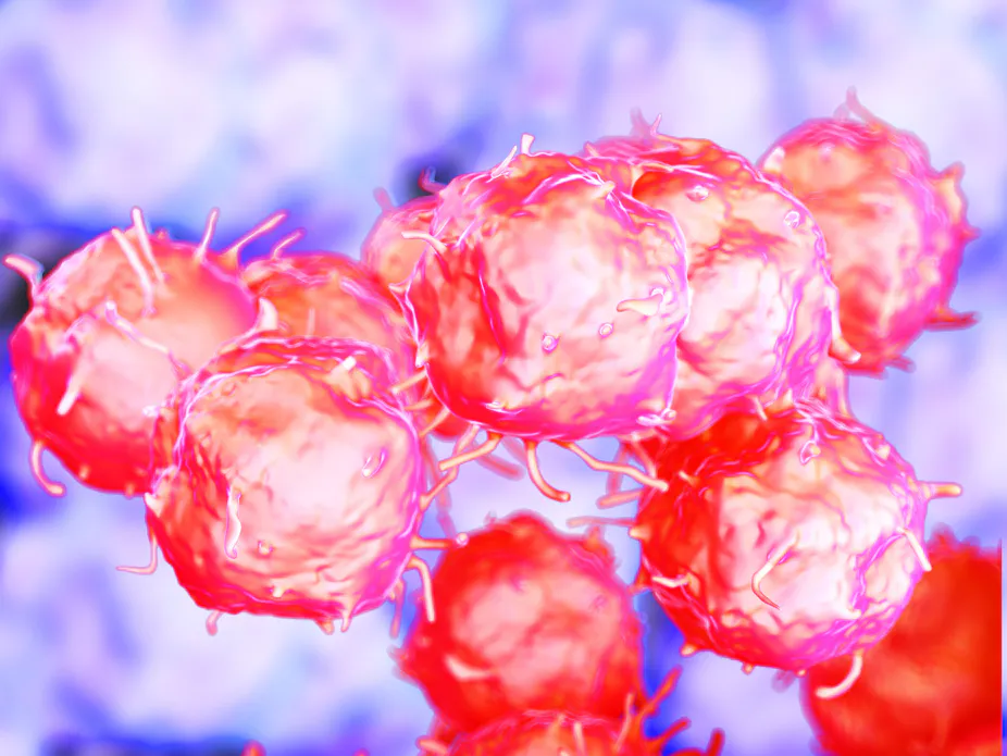 What Lies Behind The Hype And The Hope Of Stem Cell Research And Therapy What Lies Behind The Hype And The Hope Of Stem Cell Research And Therapy