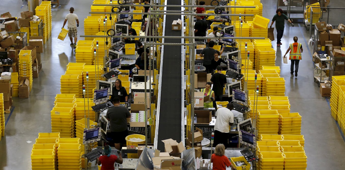 Understanding the amazonian workplace – it’s the law of the jungle