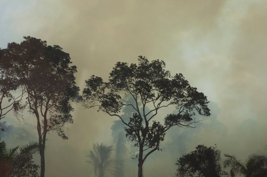 The Impact Of Savanna Fires On Africa S Rainfall Patterns The Impact Of Savanna Fires On Africa S Rainfall Patterns