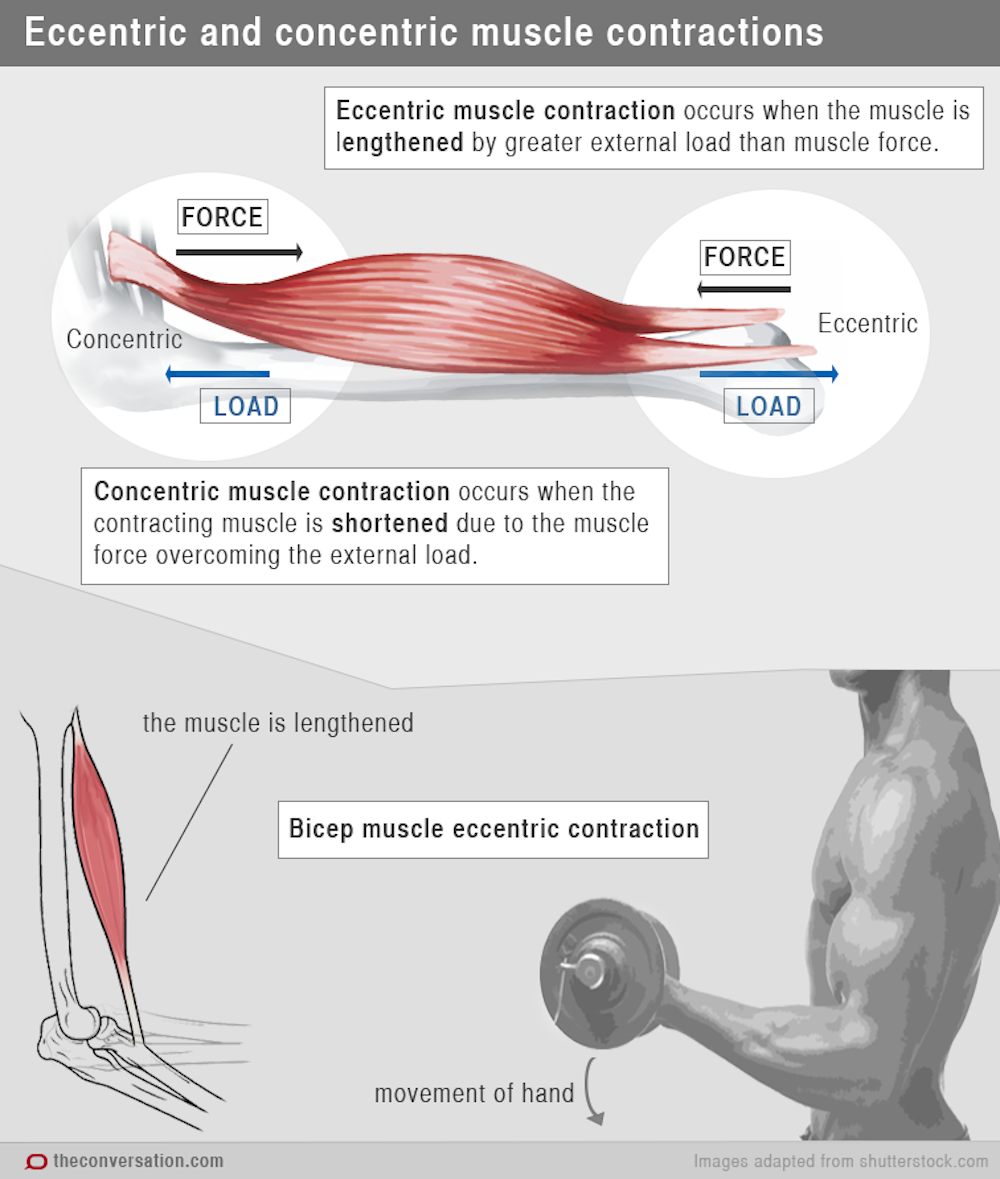 muscle fitness exercises