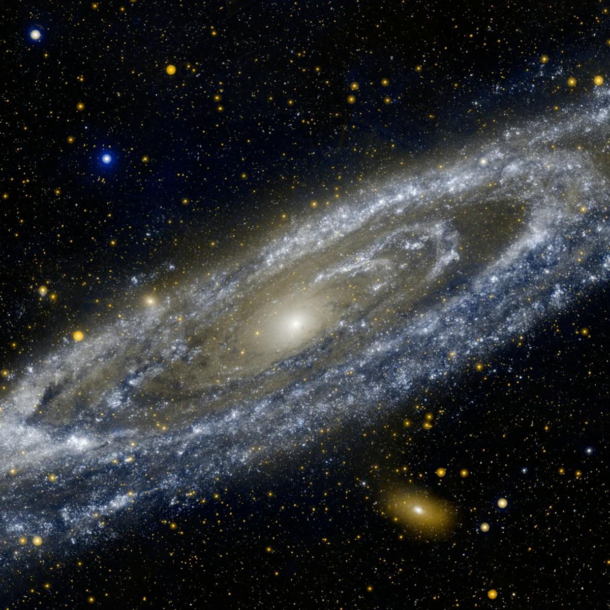 We Are Lucky To Live In A Universe Made For Us We Are Lucky To Live In A Universe Made For Us