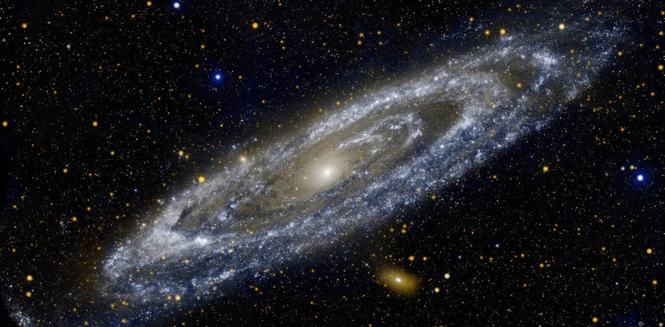 We are lucky to live in a universe made for us