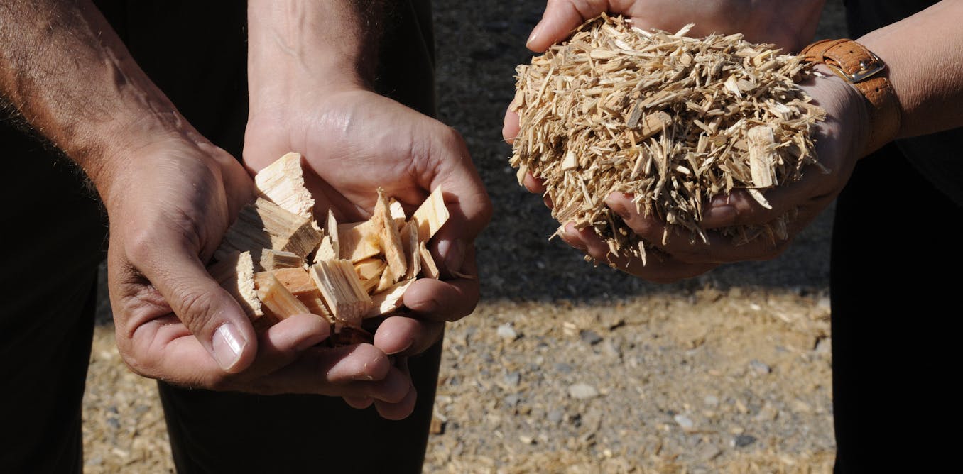 Does bioenergy have a green energy future in the us?