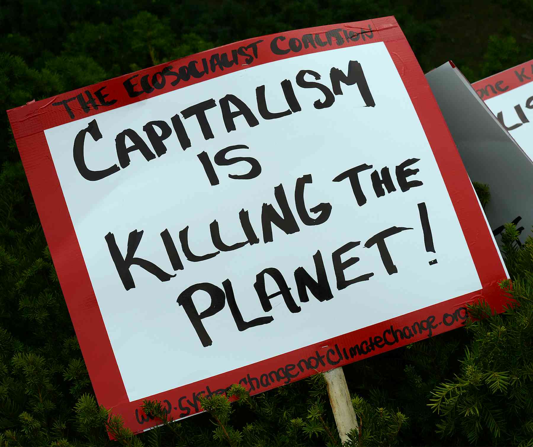 Capitalism must evolve to solve the climate crisis