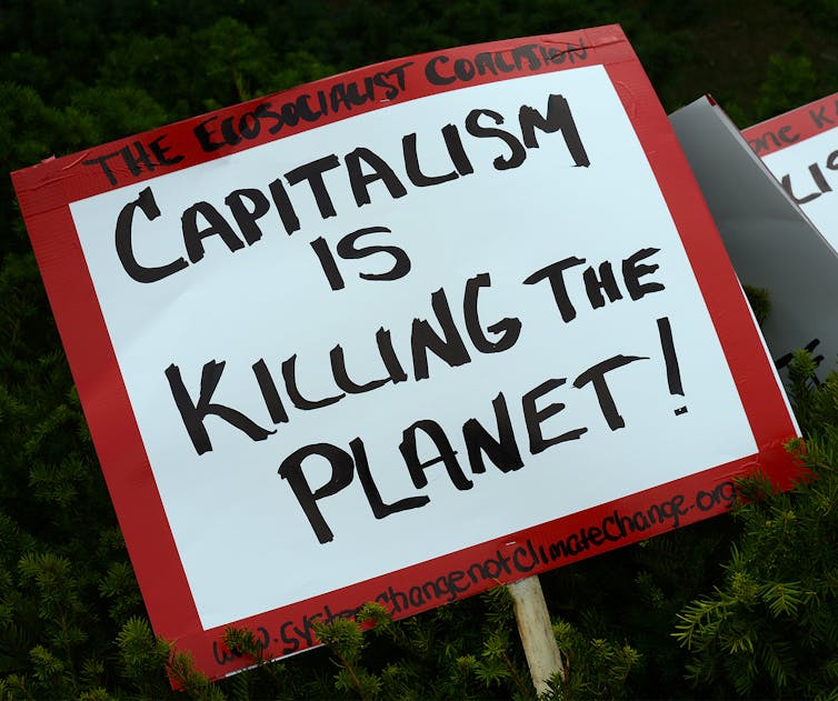 capitalism and climate change essay