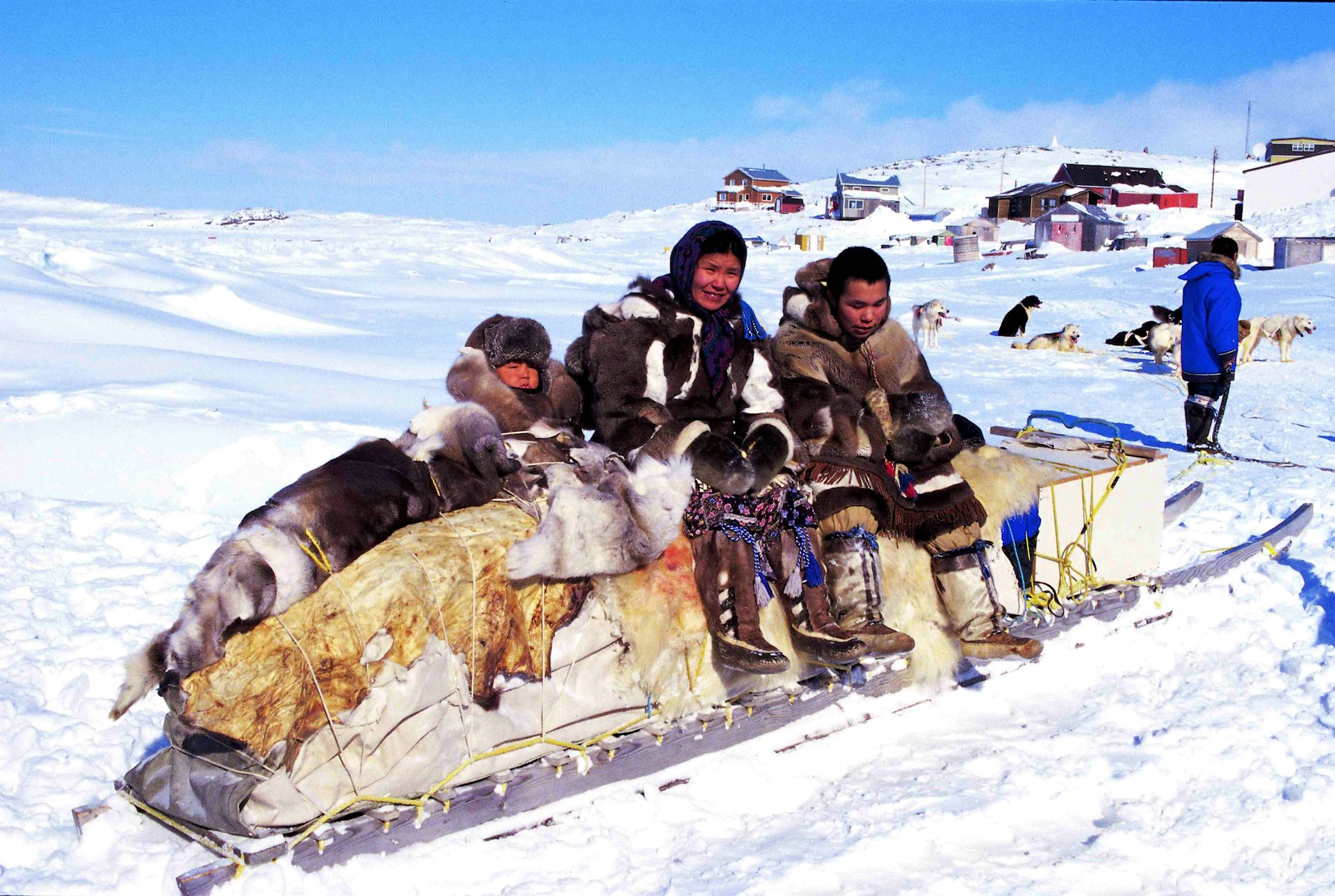 High-fat diet made Inuits healthier but shorter thanks to gene