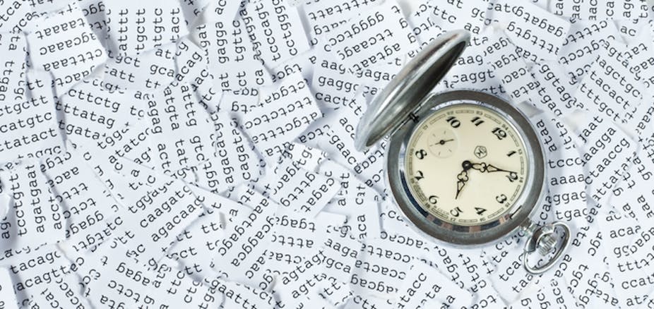 L'horloge moléculaire, qu'est-ce que c'est ?