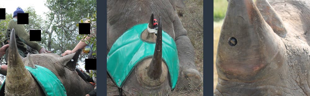 Real-Time Anti Poaching Intelligent Device