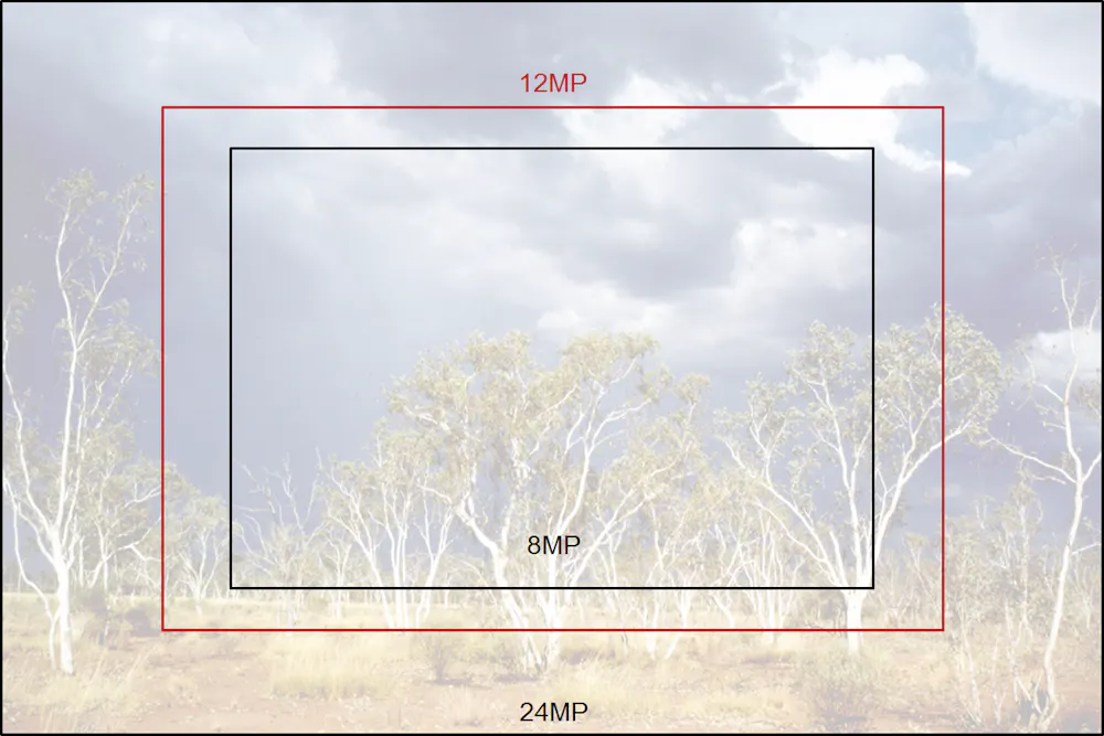 16mpx Photo Example Snap: smartphones give dedicated digital cameras a run for their money