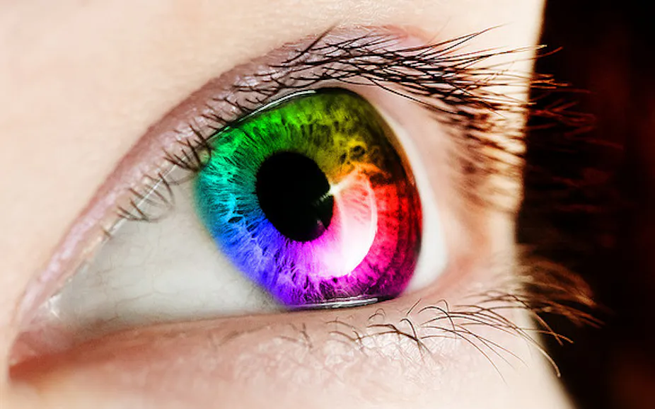 Seeing Color Es Perceiving colour involves more than meets the eye