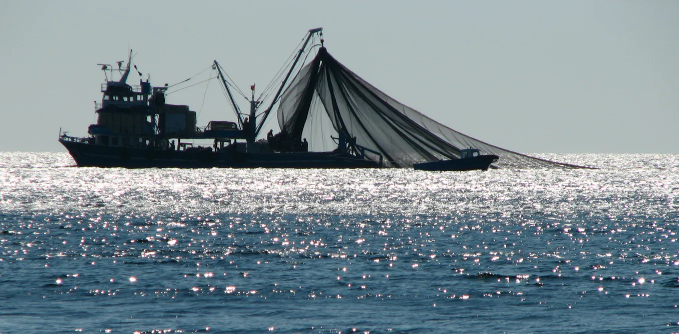 Over Fishimg Overfishing and the Environmental and Societal Impact on the World ...
