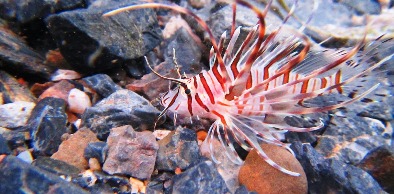 How you can help scientists track how marine life reacts to climate change