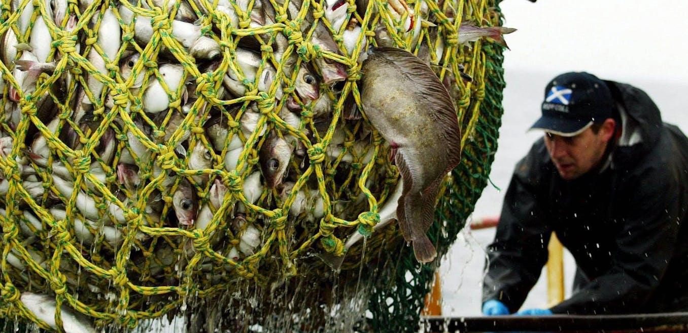 Evidence says it's time for a depth limit on trawling