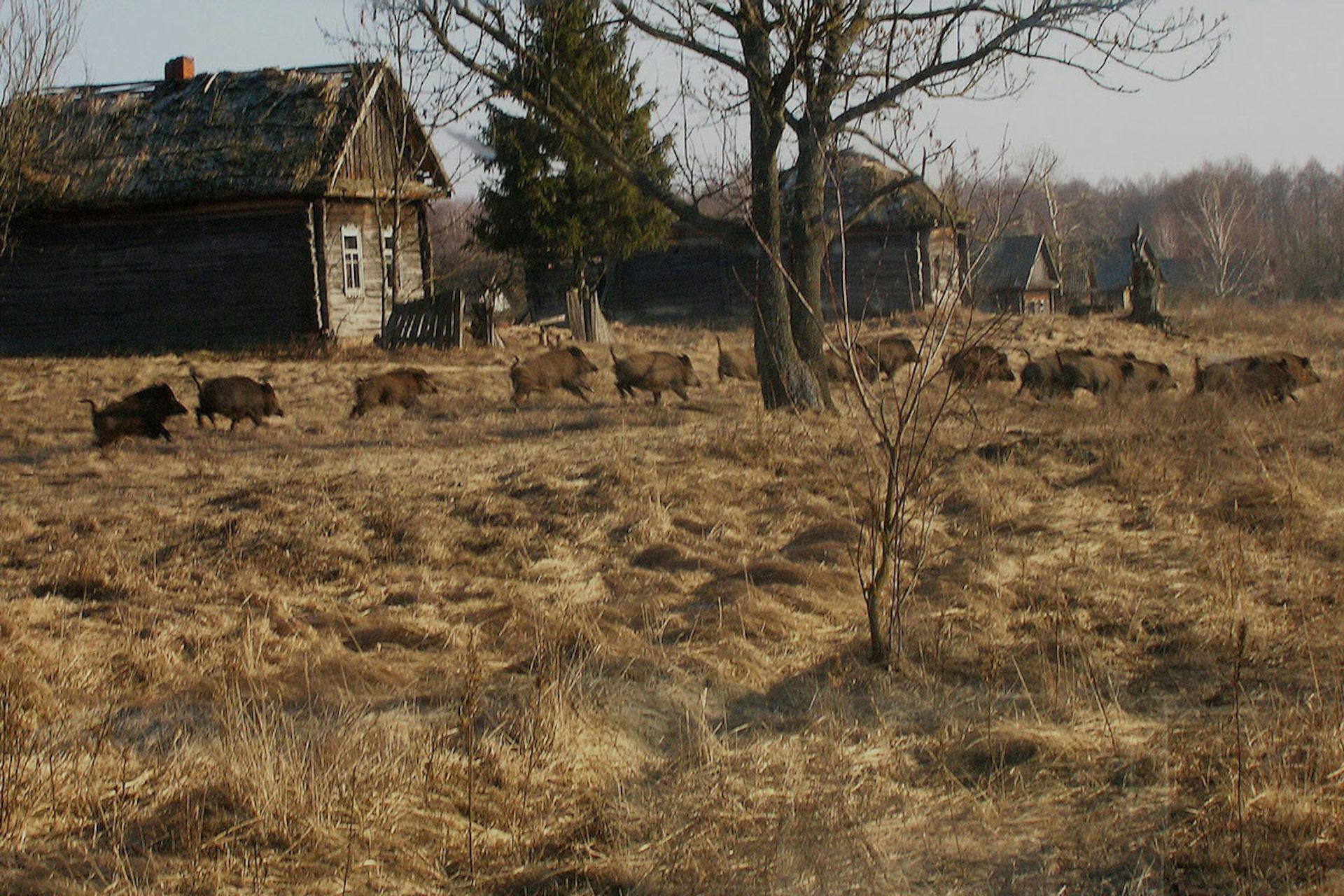 Image 20151011 9124 gse2je.jpg?ixlib=rb 1.1