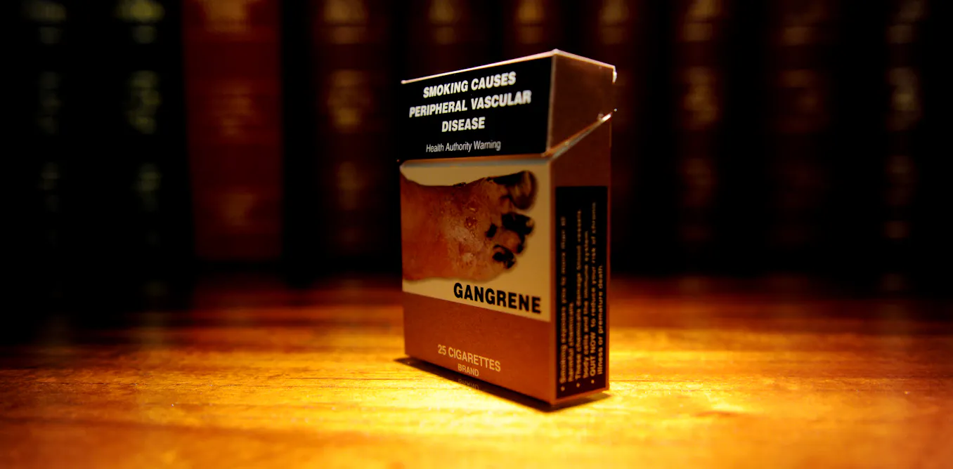 how to grind tobacco without a grinder Everything You Need to Know About Your Cannabis Grinder
