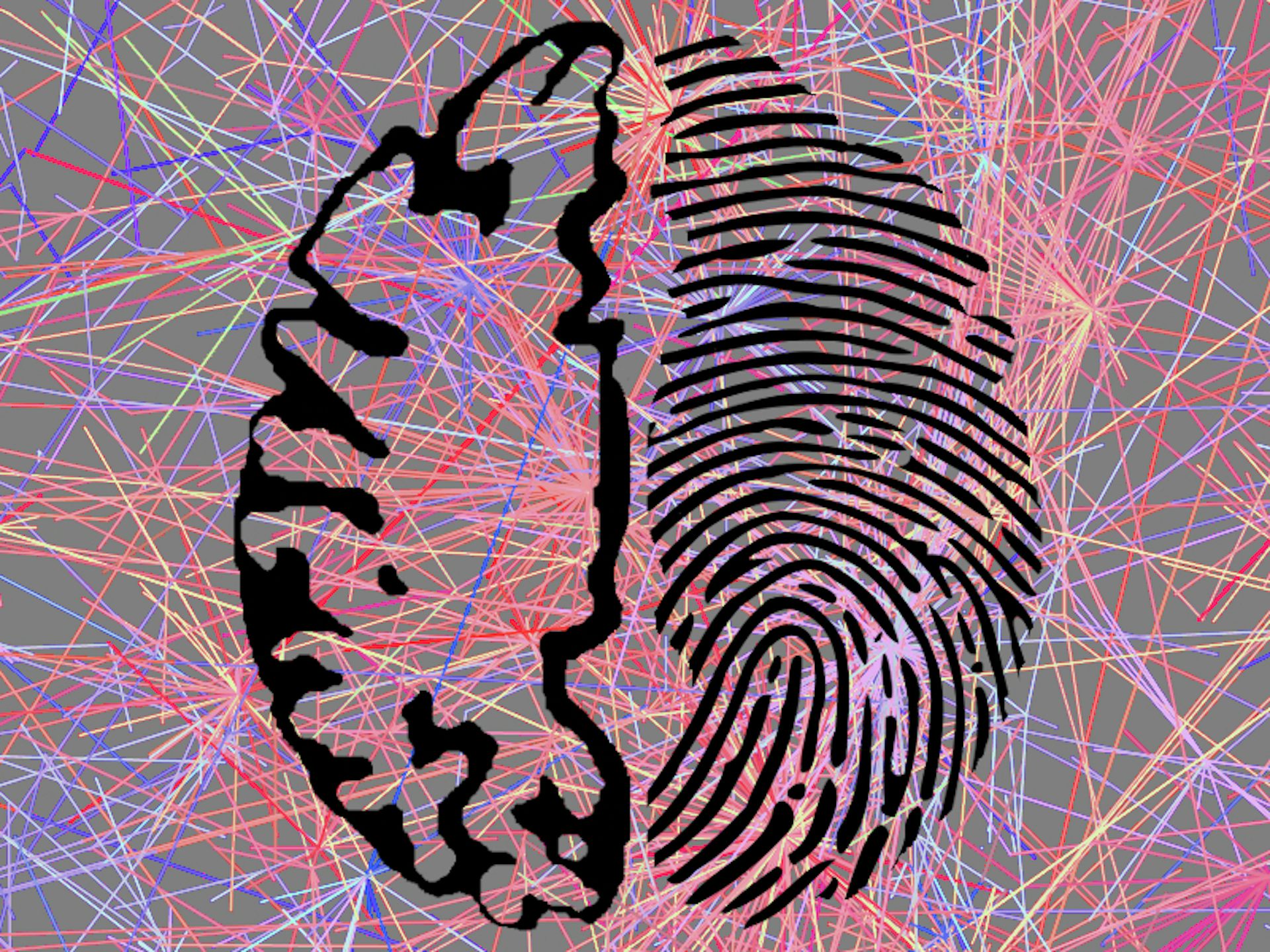 Brain activity is as unique and identifying as a fingerprint