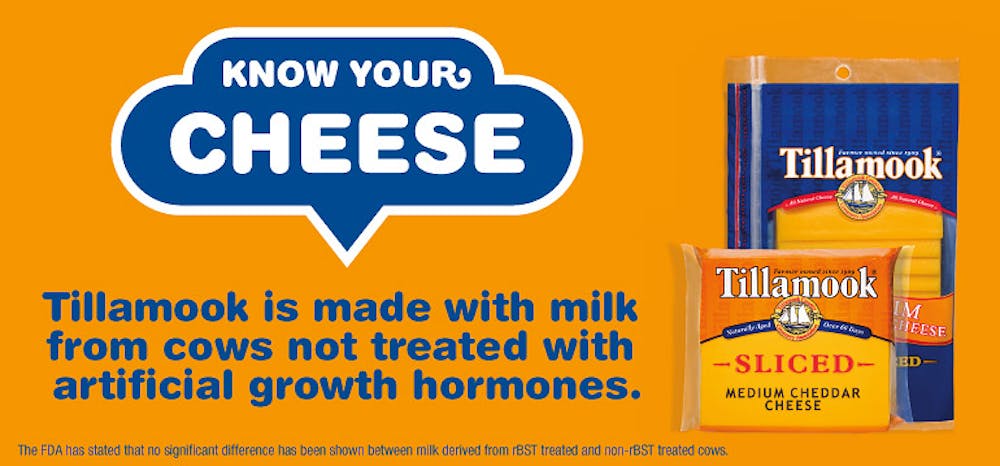 How we got to now: why the US and Europe went different ways ...