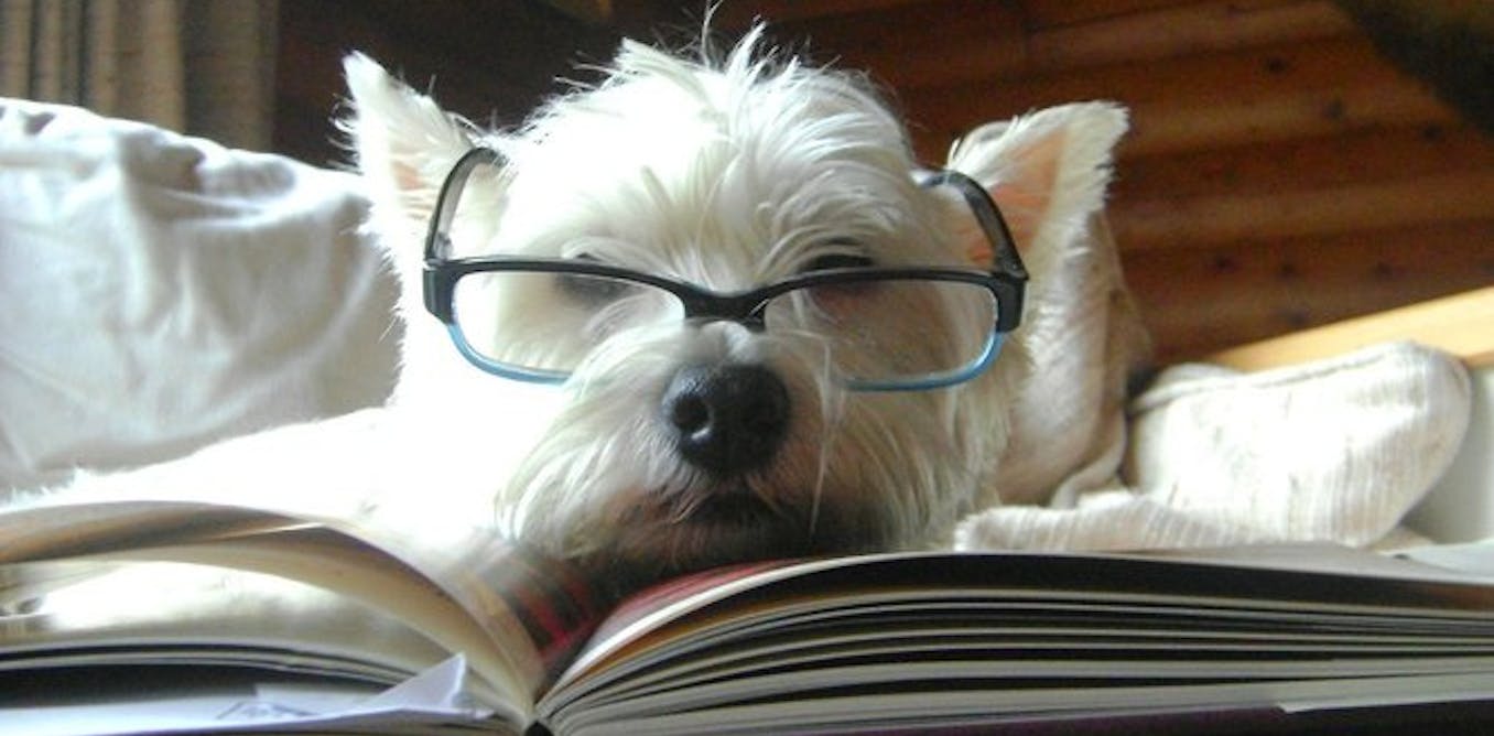 Intelligent Vraiment Une Breve Histoire Des Tests De Qi Intelligent Vraiment Une Breve Histoire Des Tests De Qi