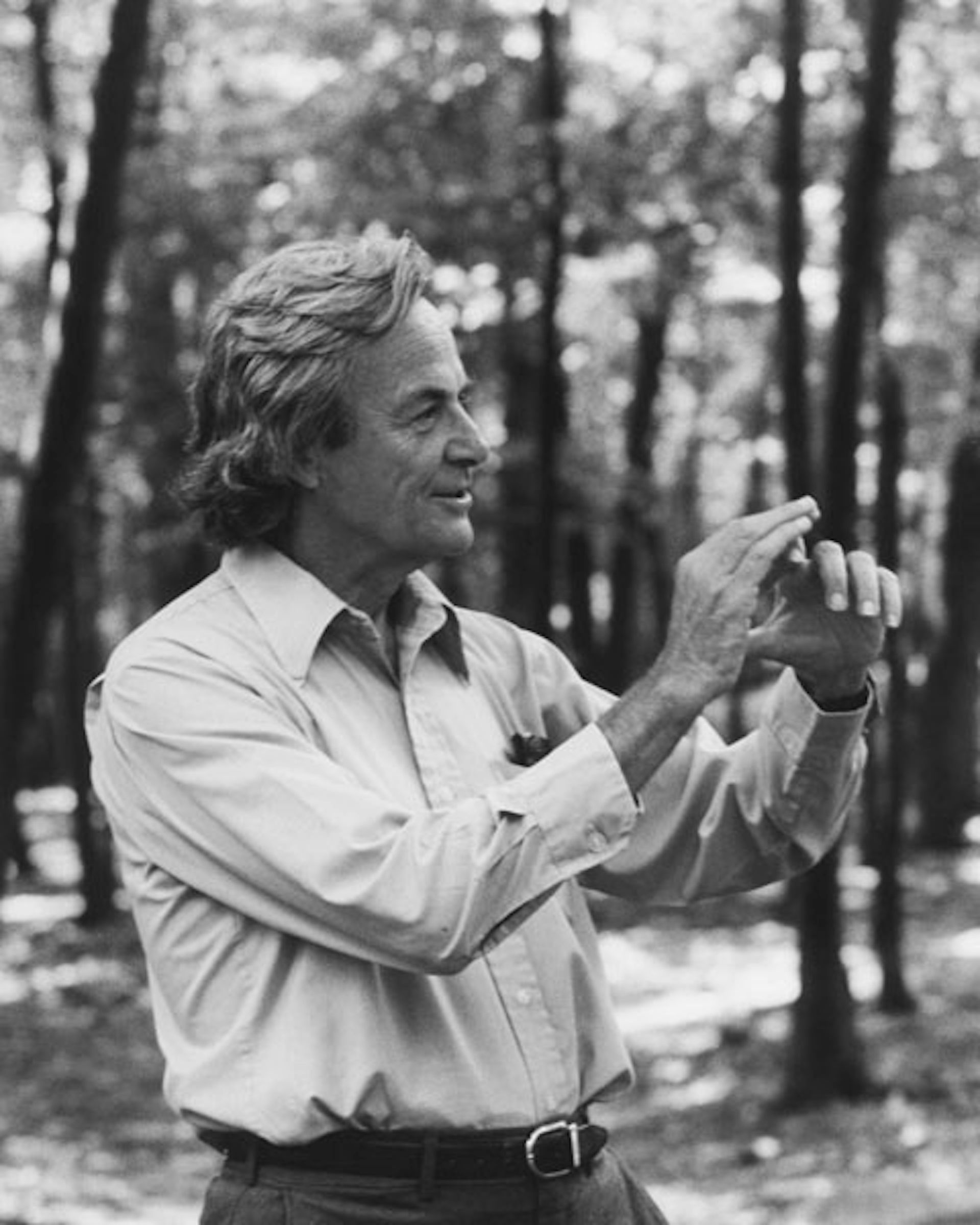 Richard Feynman Wood Print by Us Department Of Energy  Fine Art America