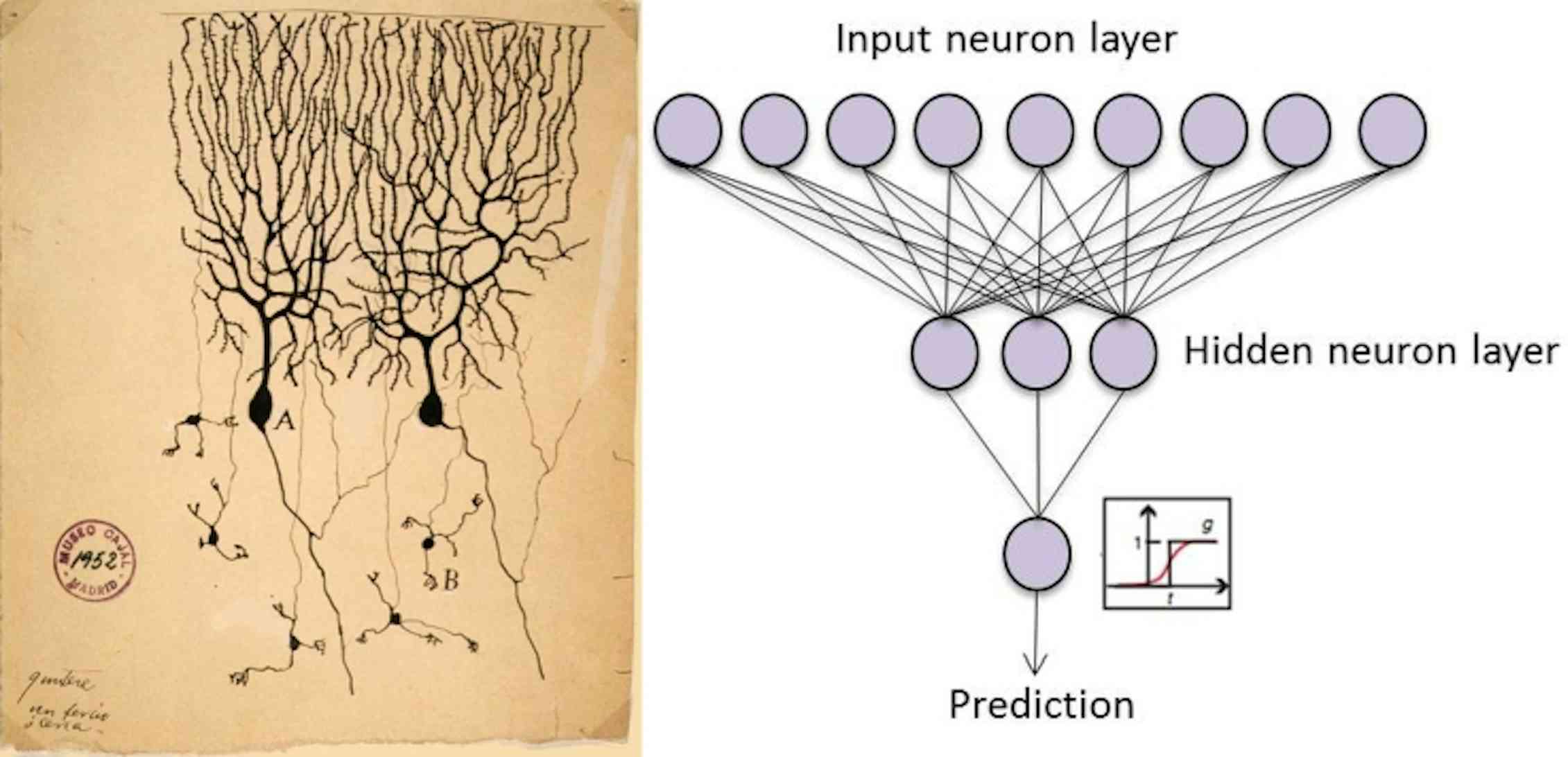 Придумать история нейросеть. Нейронная сеть. Нейронные связи. Нейросети для педагога.