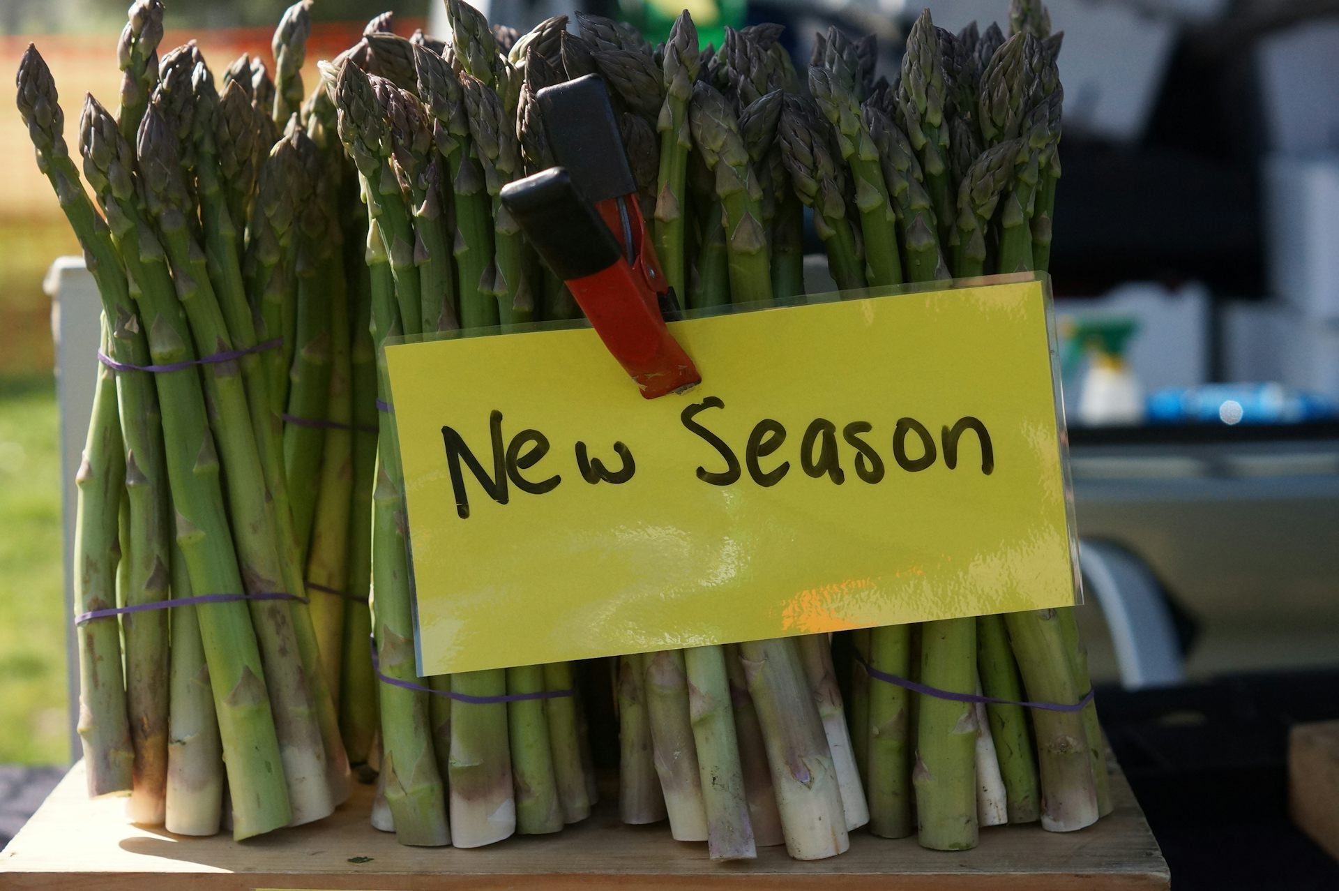 To feed growing cities we need to stop urban sprawl eating up our food ... Biology Diagrams