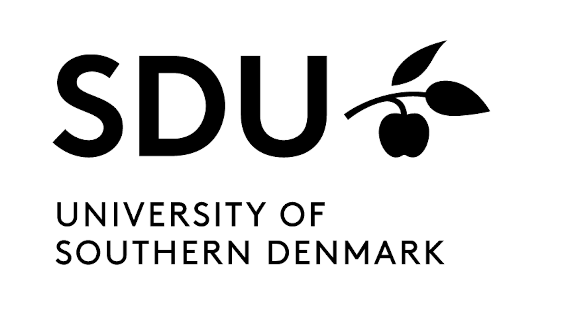 Associate Professor, University of Southern Denmark
