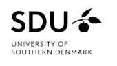 Associate Professor, University of Southern Denmark