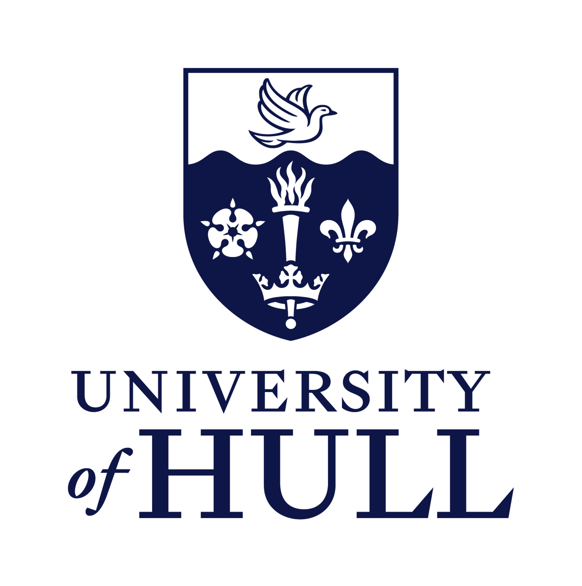 Institution logo of University of Hull