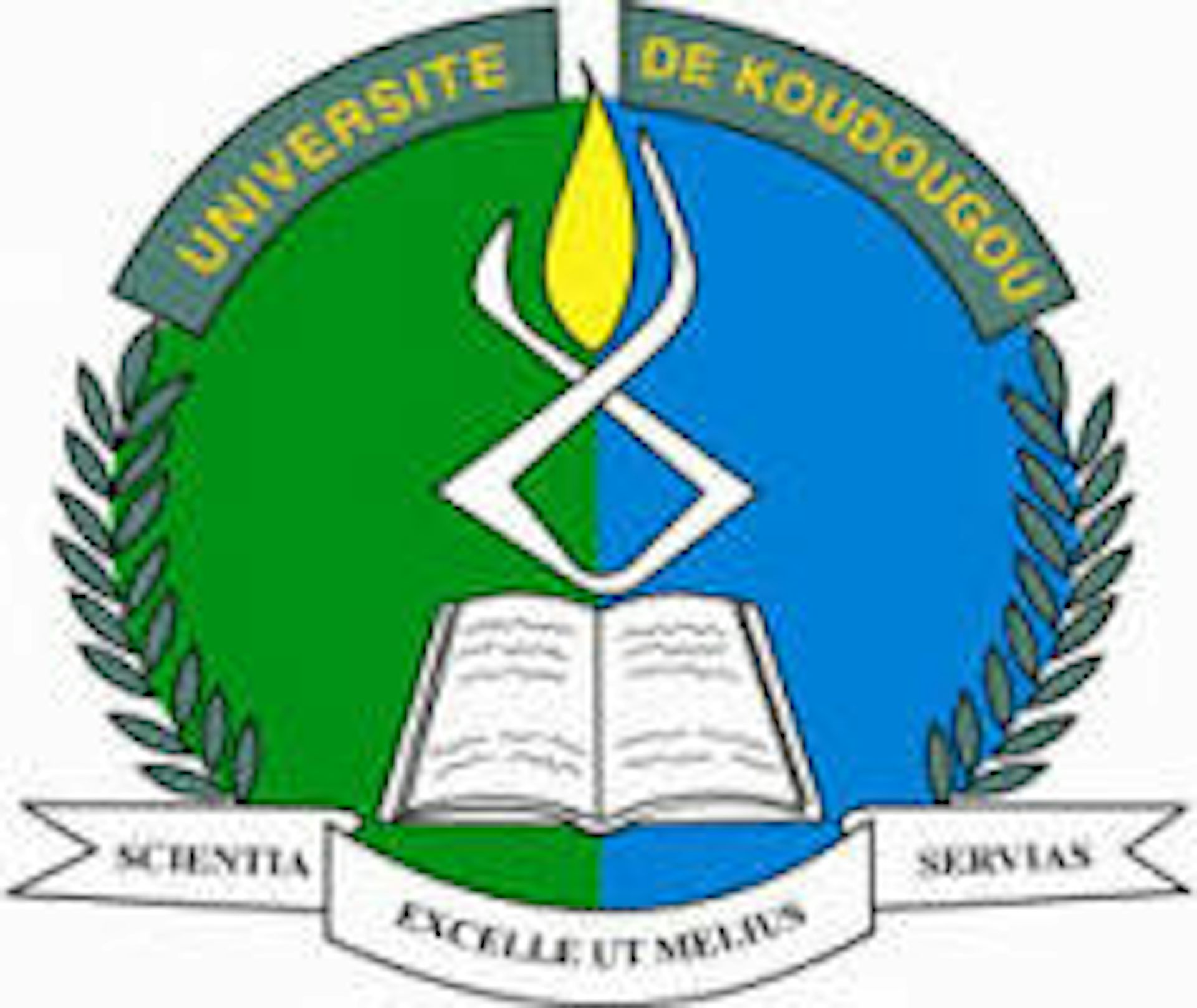 Institution logo of Université de Koudougou