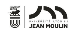 Université Jean Moulin Lyon 3