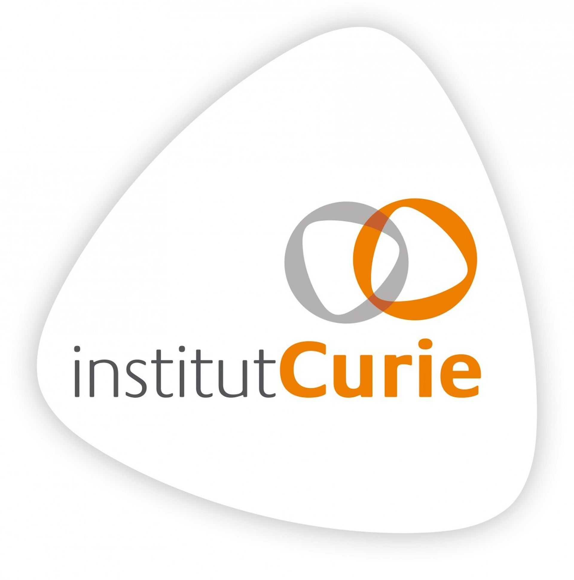 Institution logo of Institut Curie