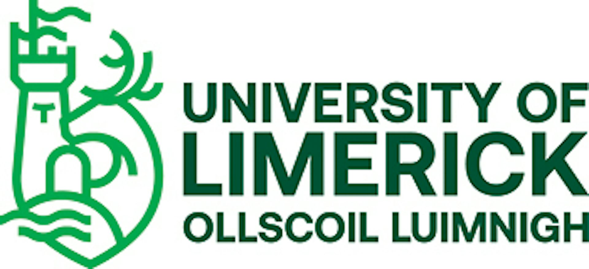 Institution logo of University of Limerick