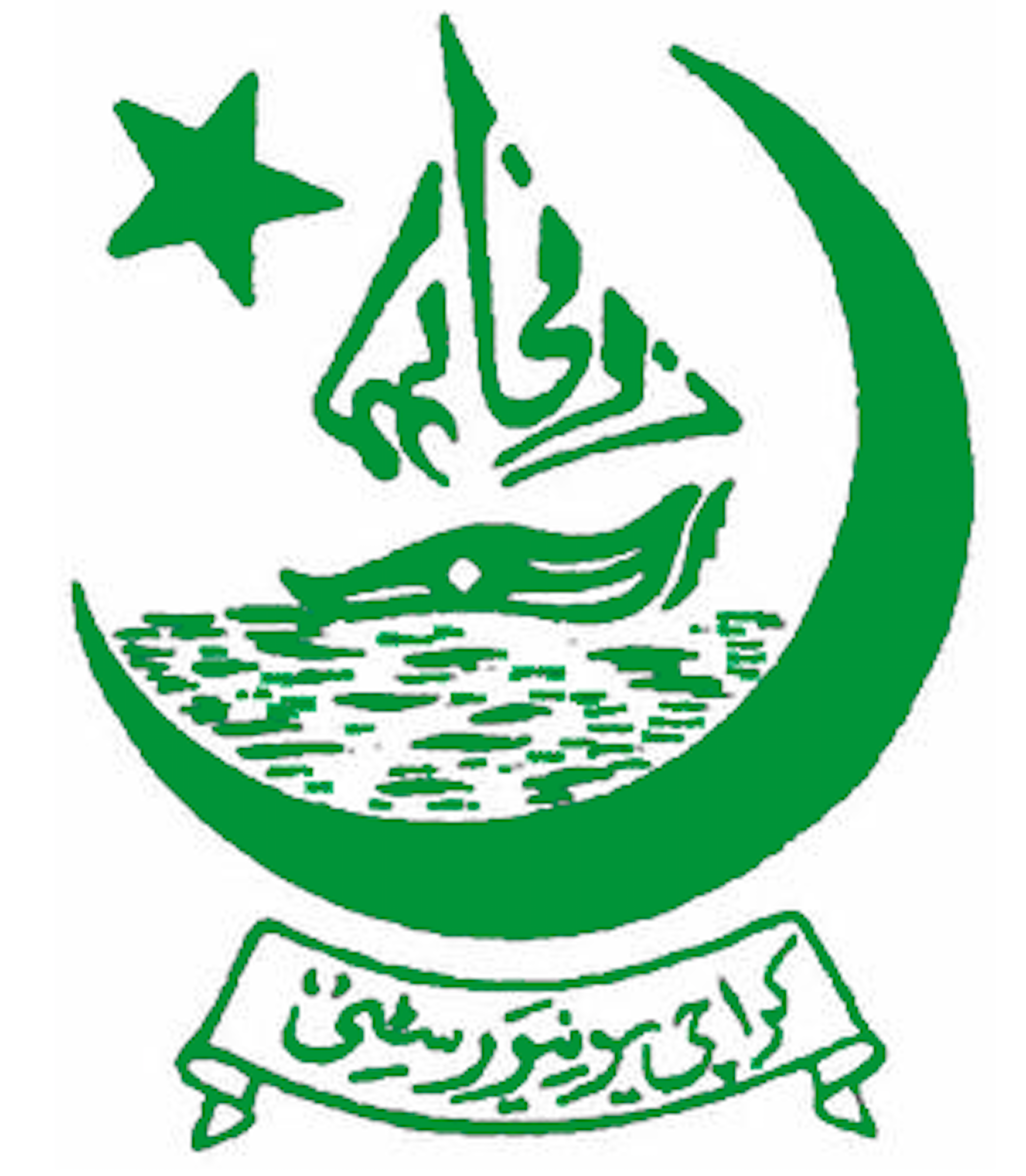 Institution logo of University of Karachi