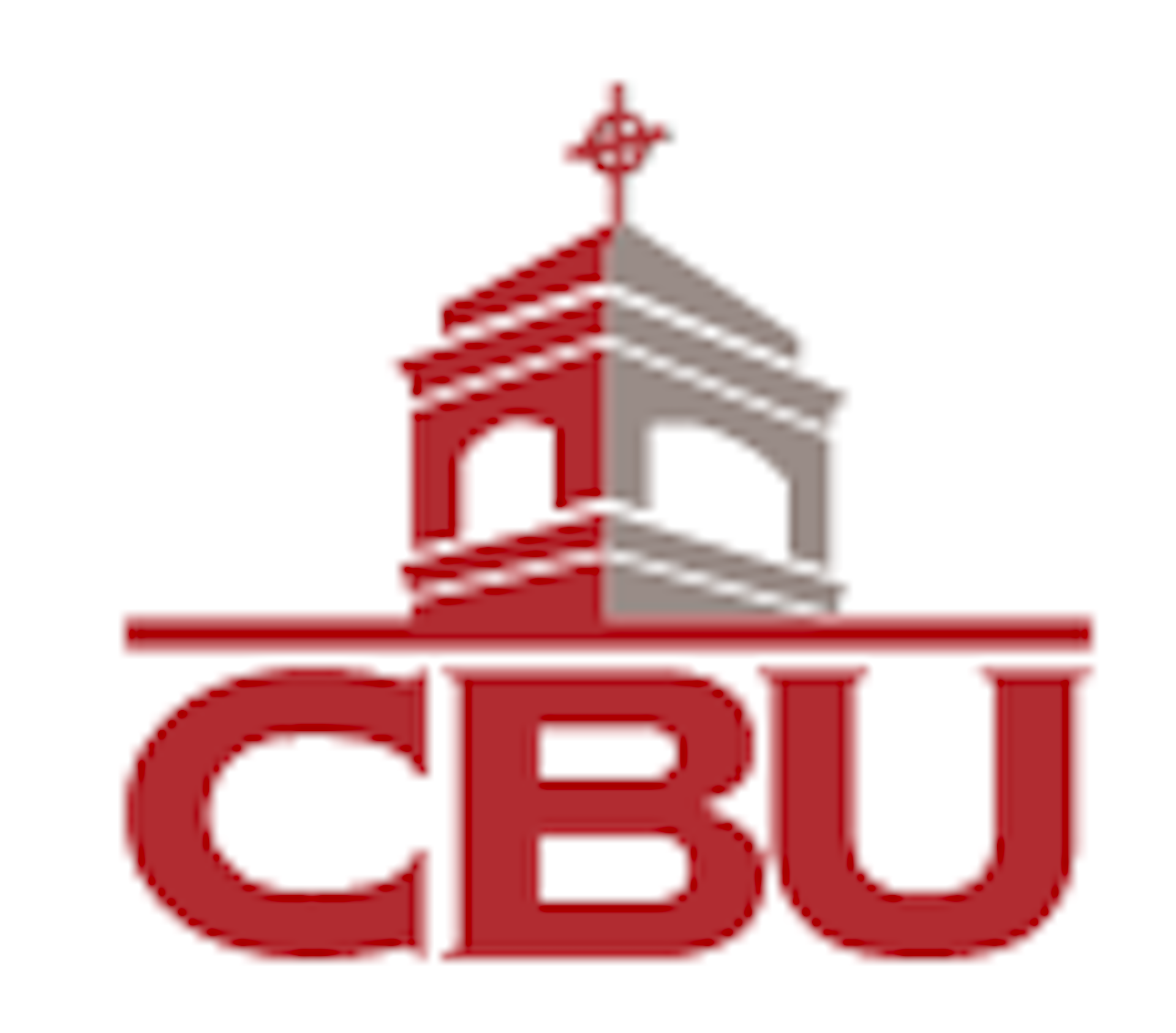 Institution logo of Christian Brothers University
