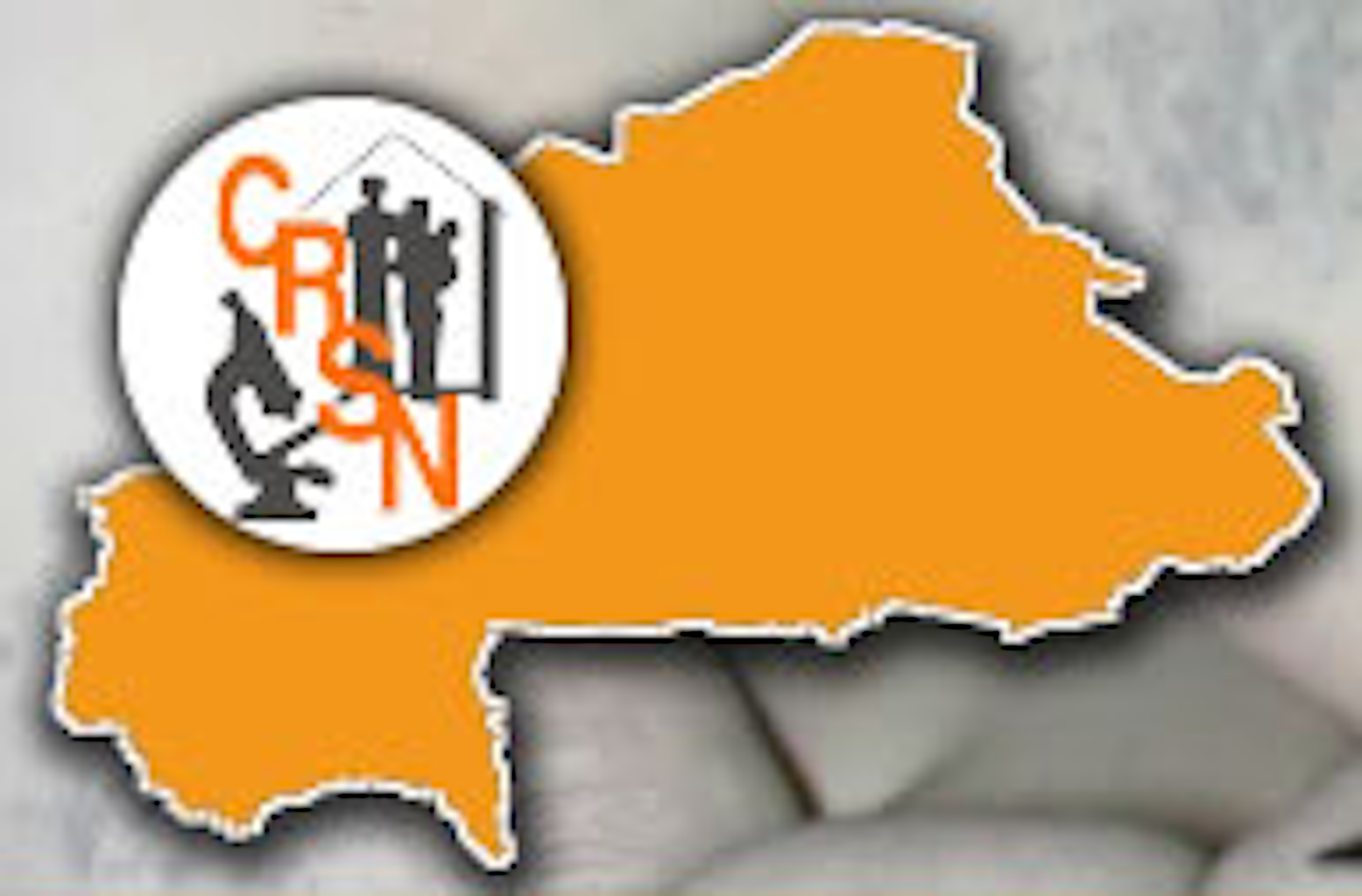 Institution logo of Centre de Recherche en Santé de Nouna