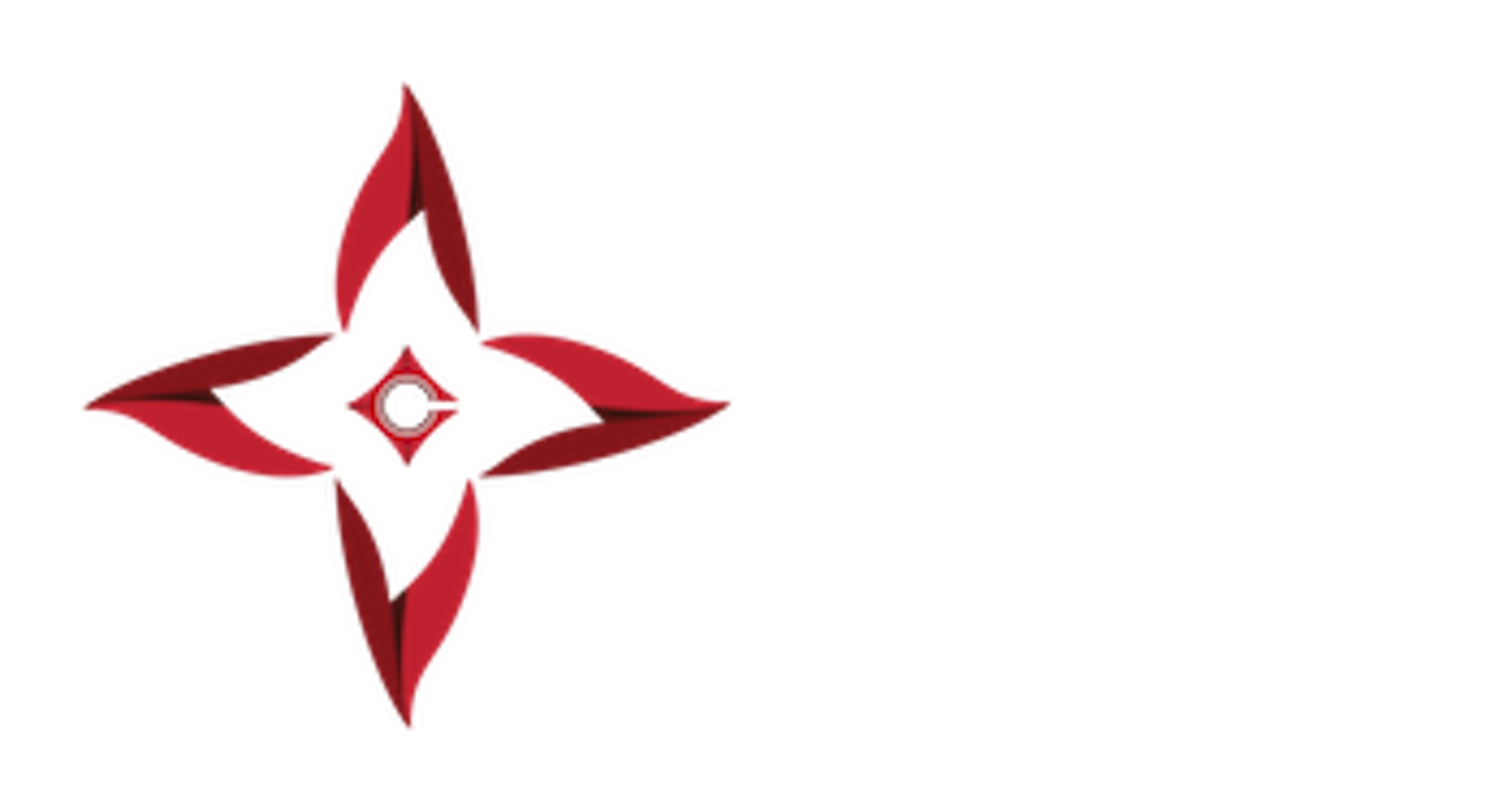 Institution logo of Center for Indonesian Policy Studies