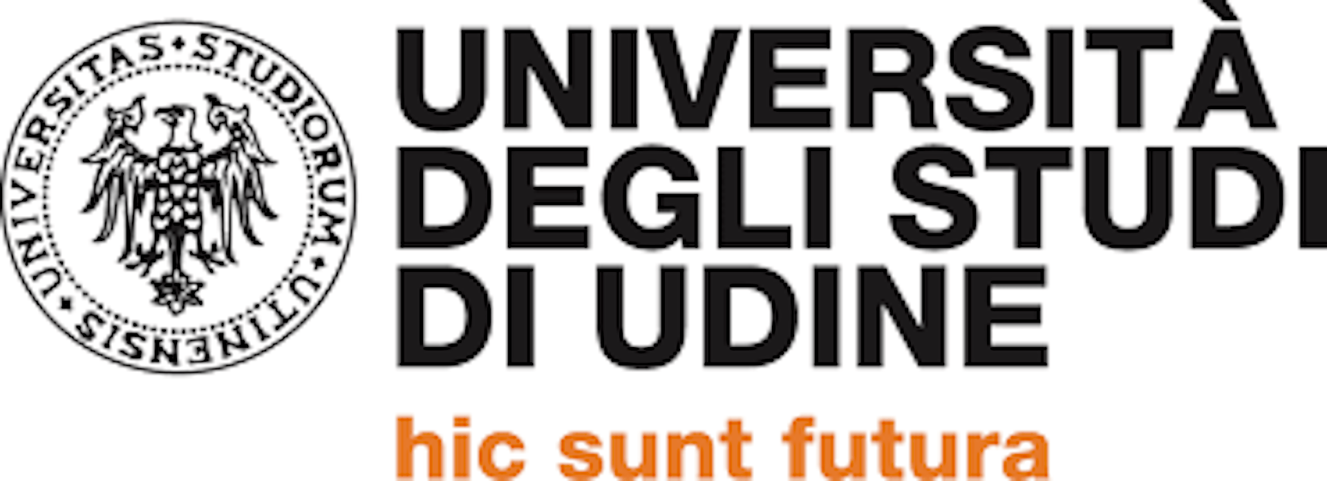 Institution logo of Università degli Studi di Udine