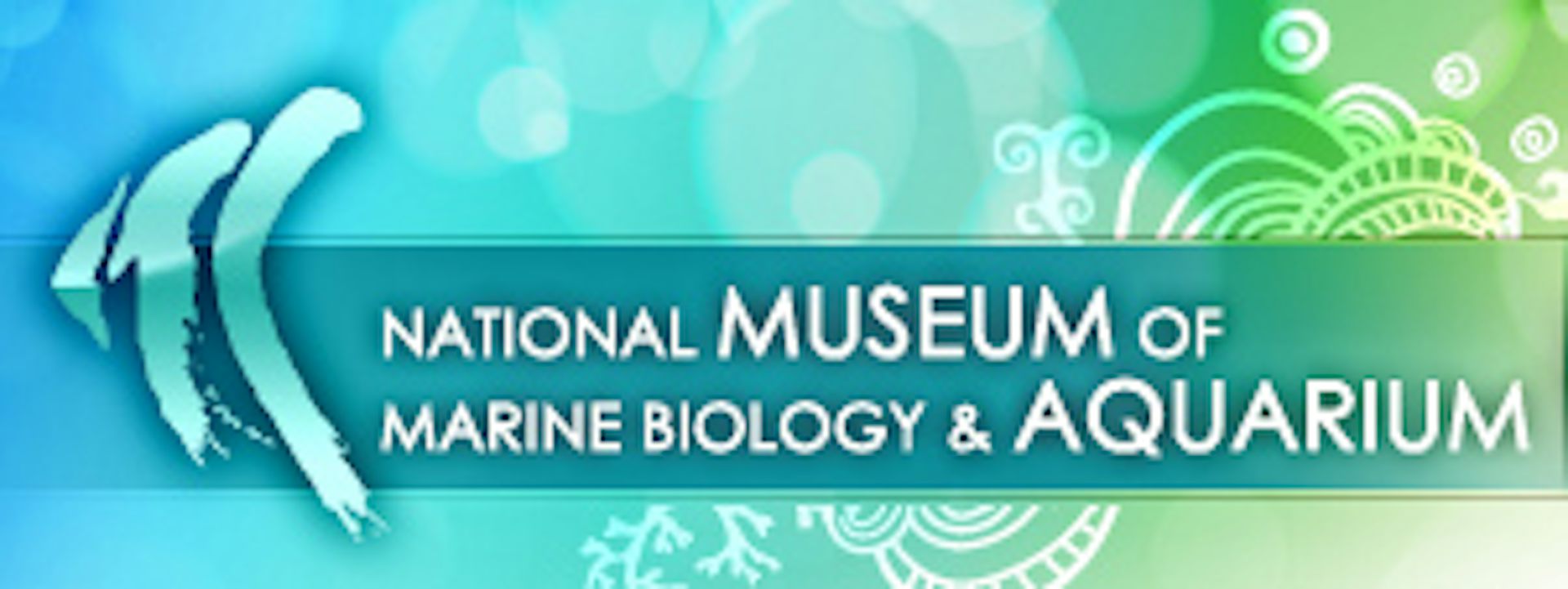 Institution logo of National Museum of Marine Biology and Aquarium Taiwan