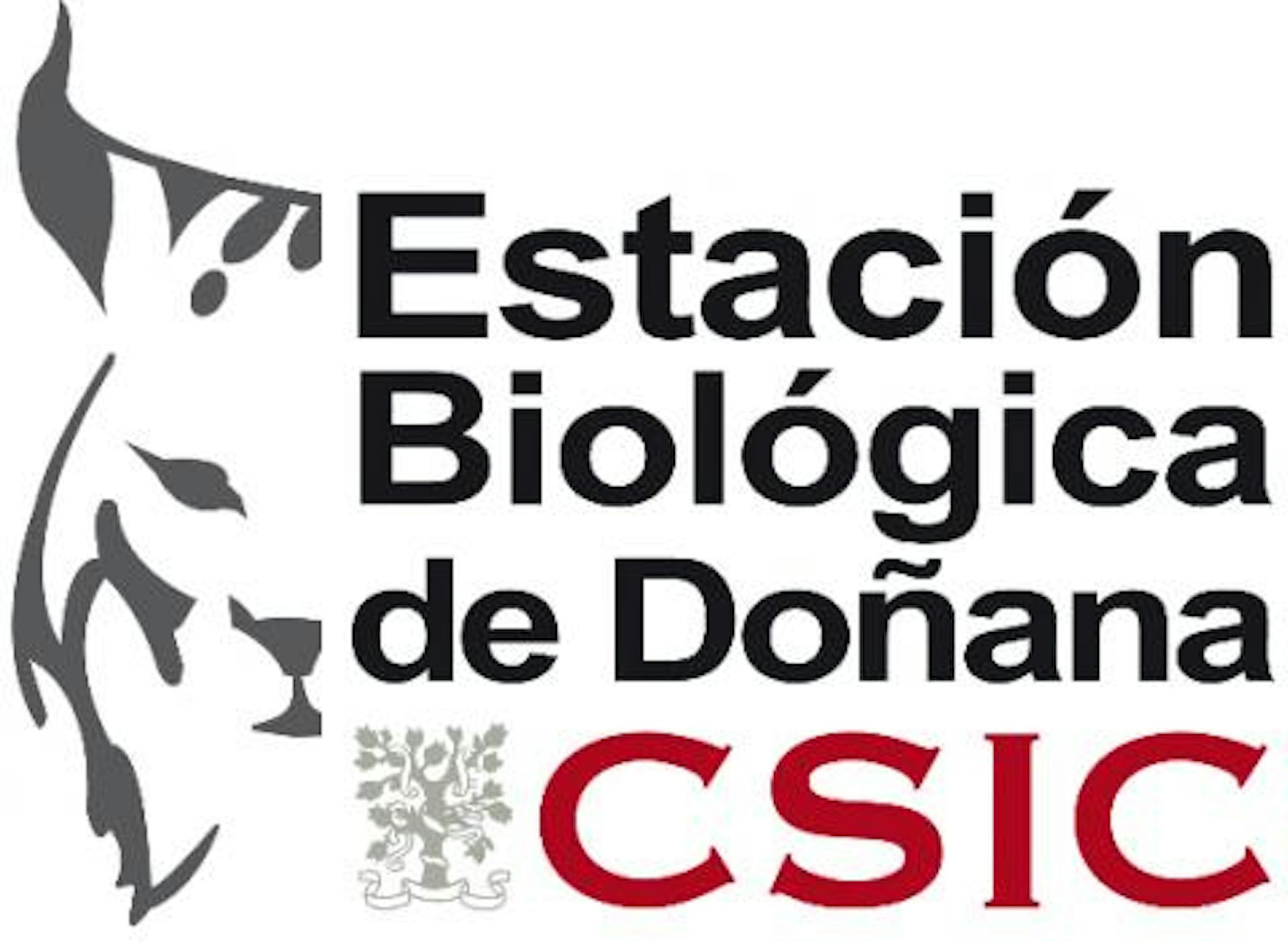 Logo EBD