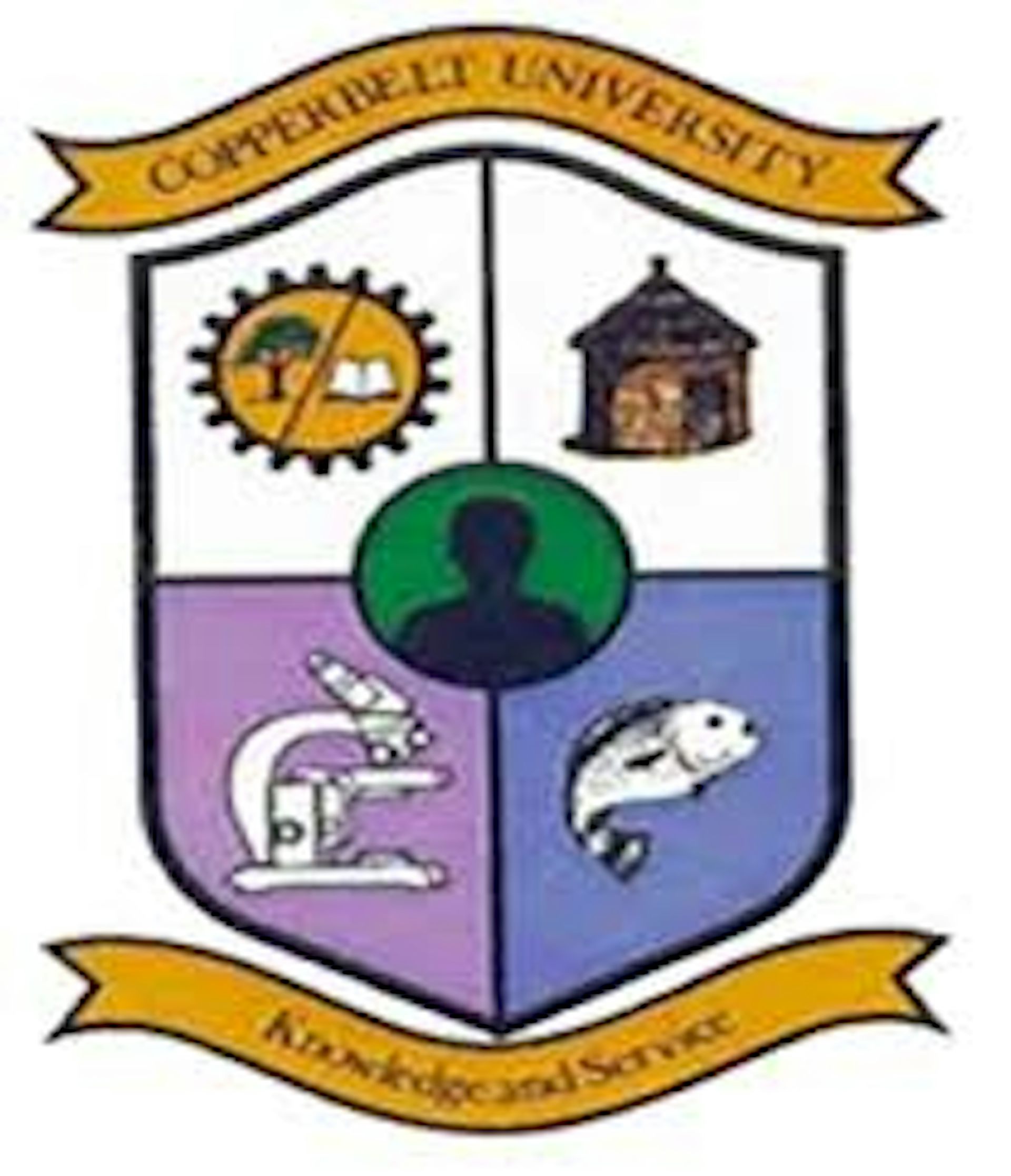 Institution logo of Copperbelt University 
